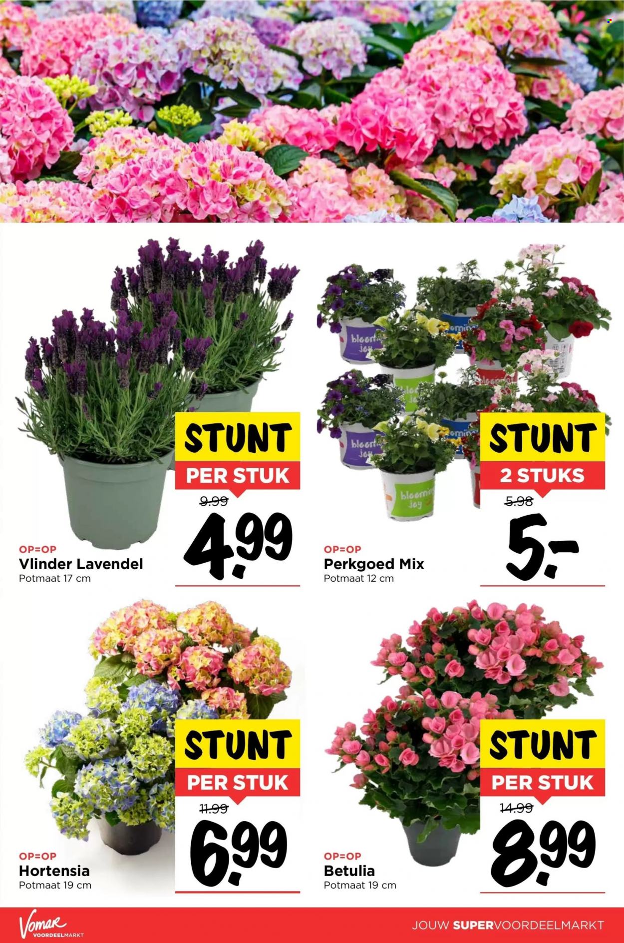 Vomar-aanbieding - 9-6-2022 - 11-6-2022. Pagina 15