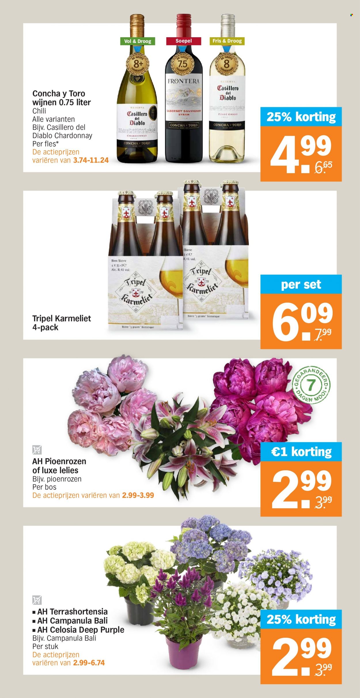 Albert Heijn-aanbieding - 13-6-2022 - 19-6-2022. Pagina 21