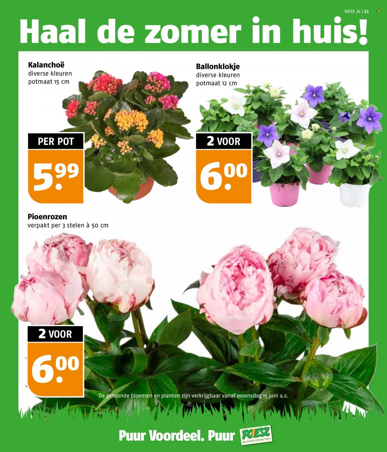 Poiesz-aanbieding - 13-6-2022 - 19-6-2022. Pagina 23