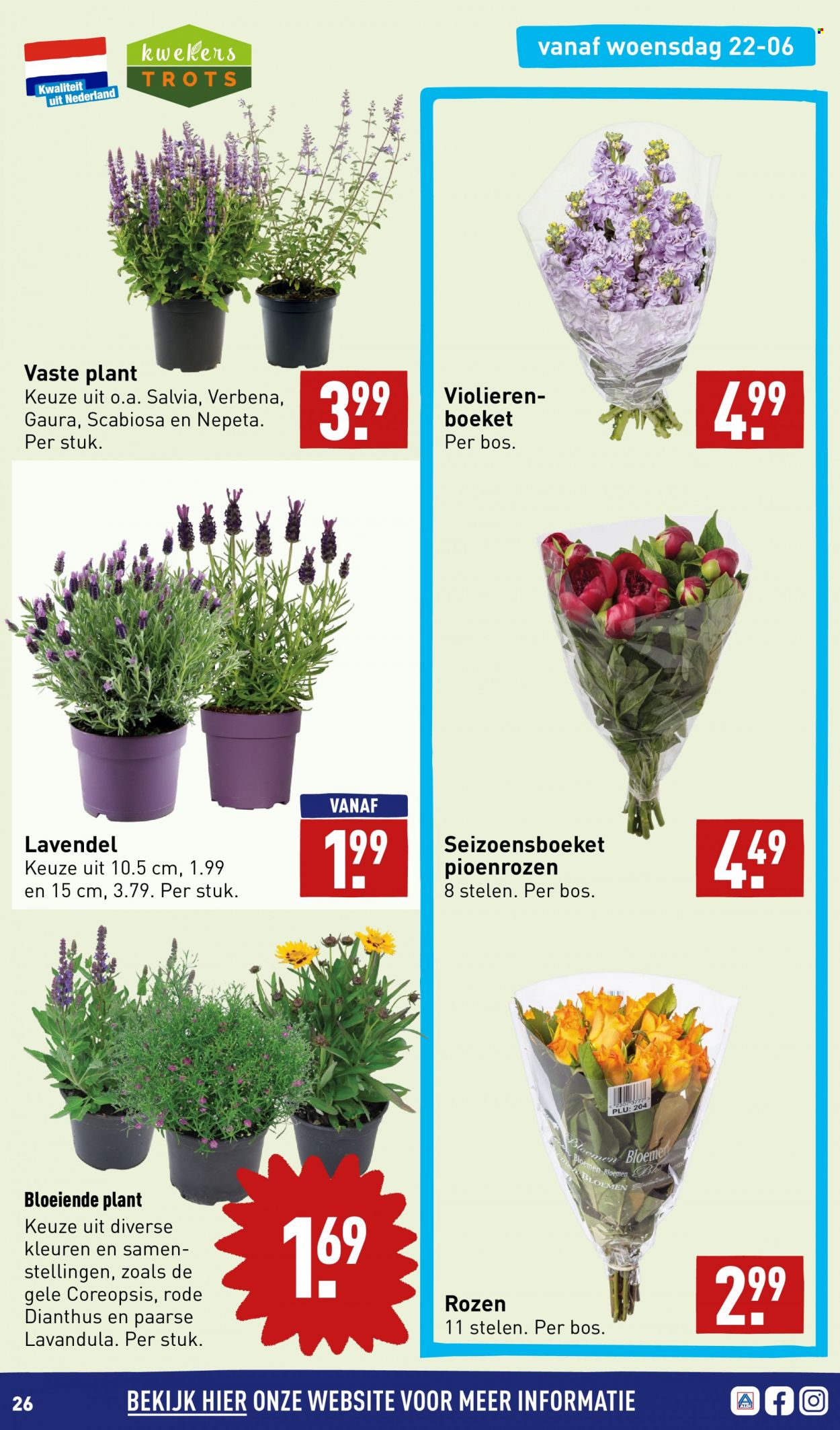 Aldi-aanbieding - 20-6-2022 - 26-6-2022. Pagina 26