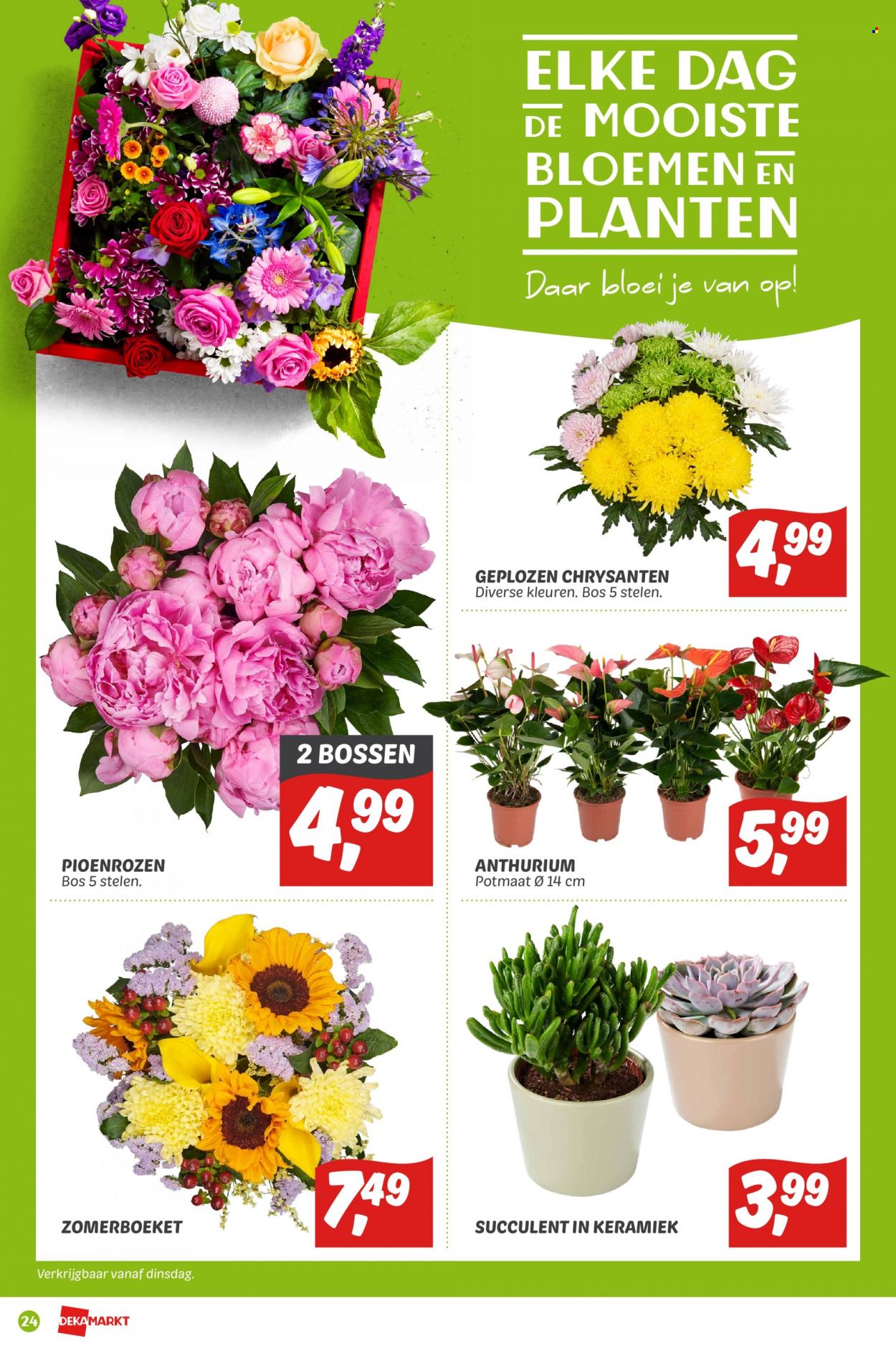DekaMarkt-aanbieding - 19-6-2022 - 25-6-2022. Pagina 24