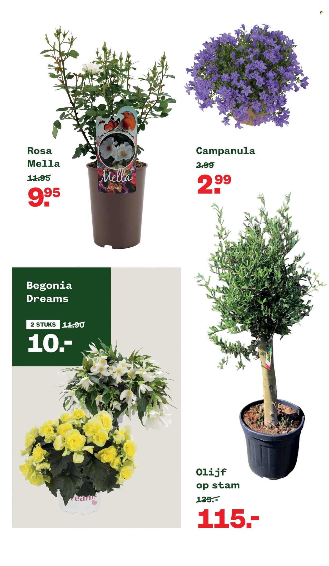 Welkoop-aanbieding - 20-6-2022 - 3-7-2022. Pagina 8