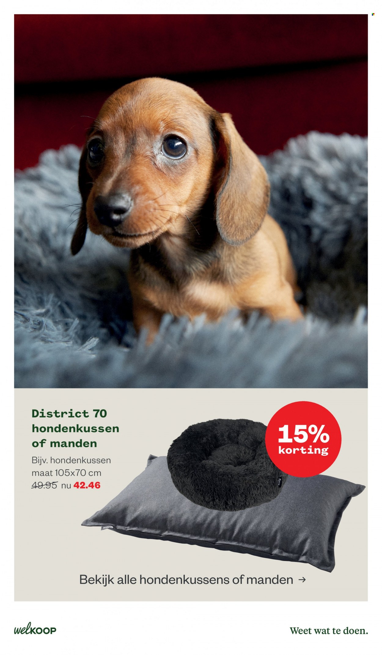 Welkoop-aanbieding - 20-6-2022 - 3-7-2022. Pagina 25