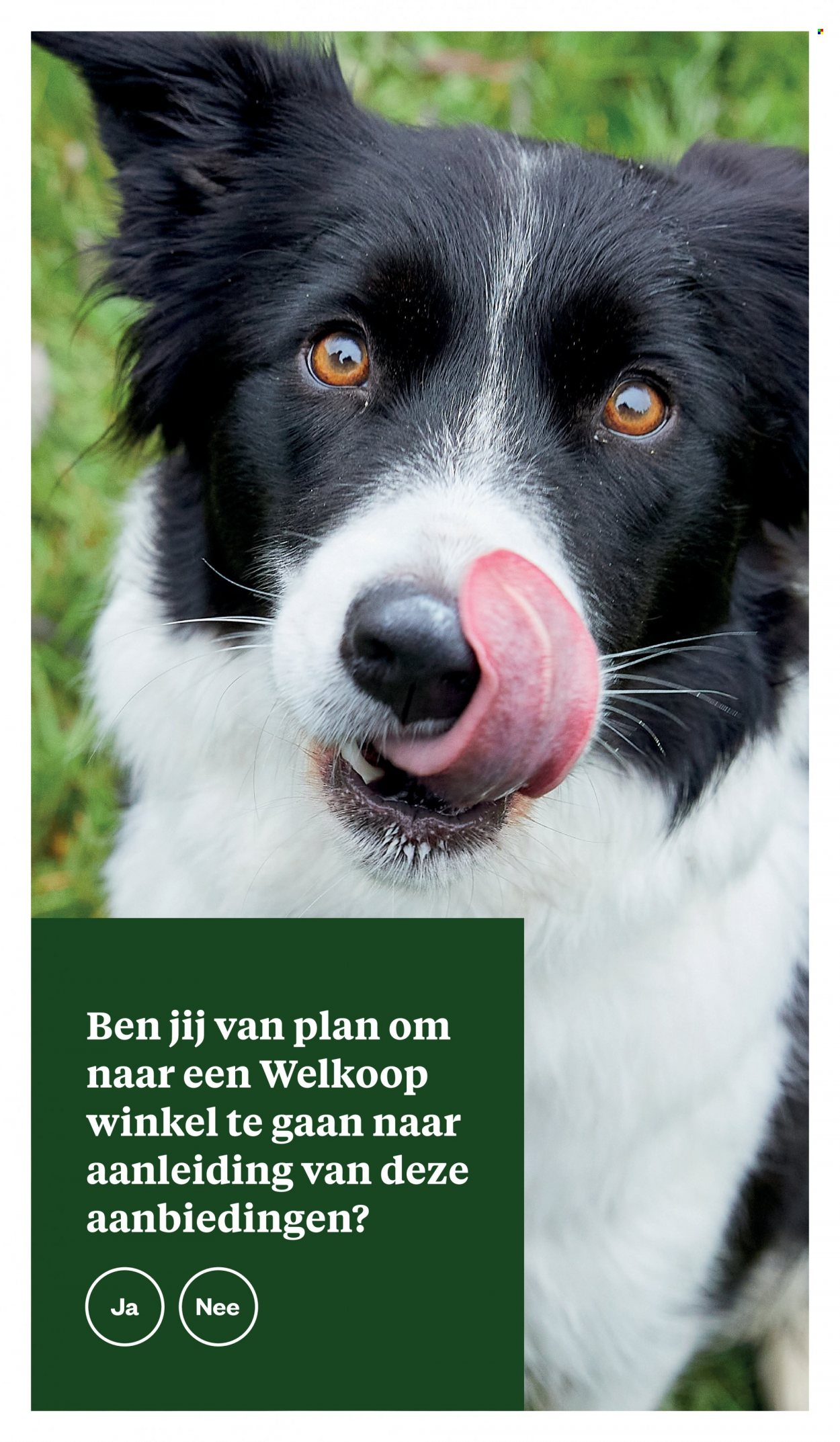 Welkoop-aanbieding - 20-6-2022 - 3-7-2022. Pagina 27