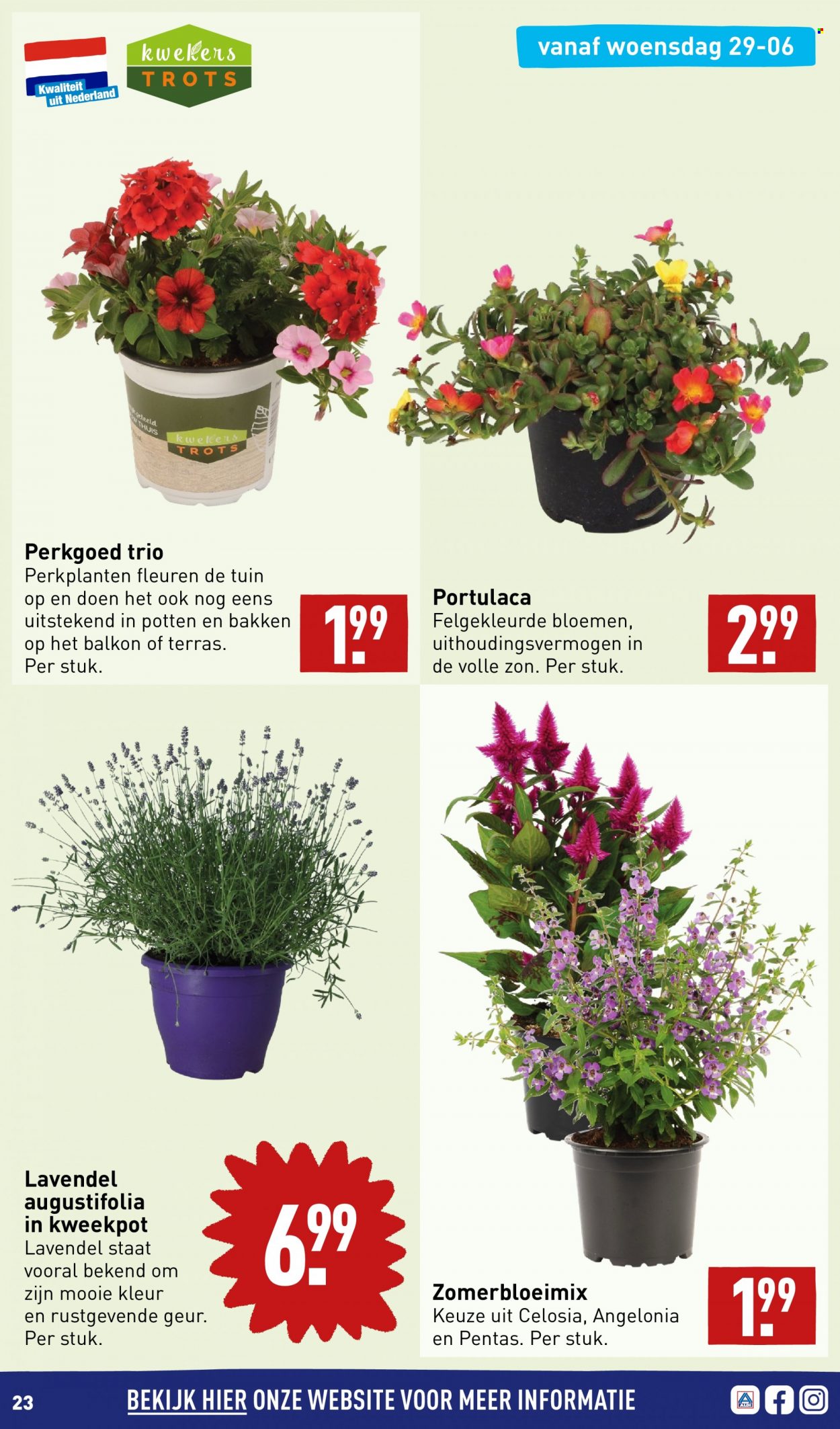 Aldi-aanbieding - 27-6-2022 - 3-7-2022. Pagina 23