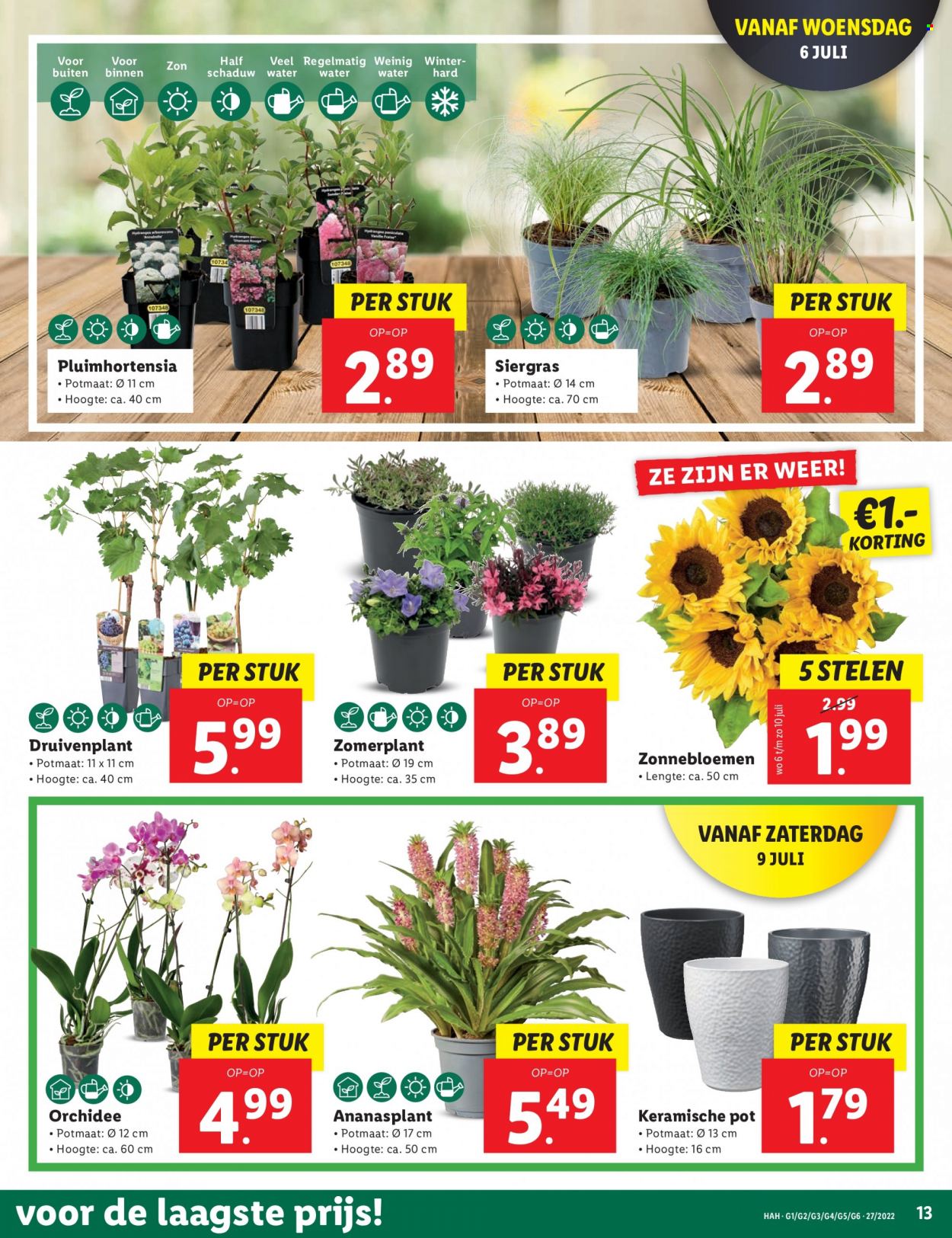 Lidl-aanbieding - 4-7-2022 - 10-7-2022. Pagina 13