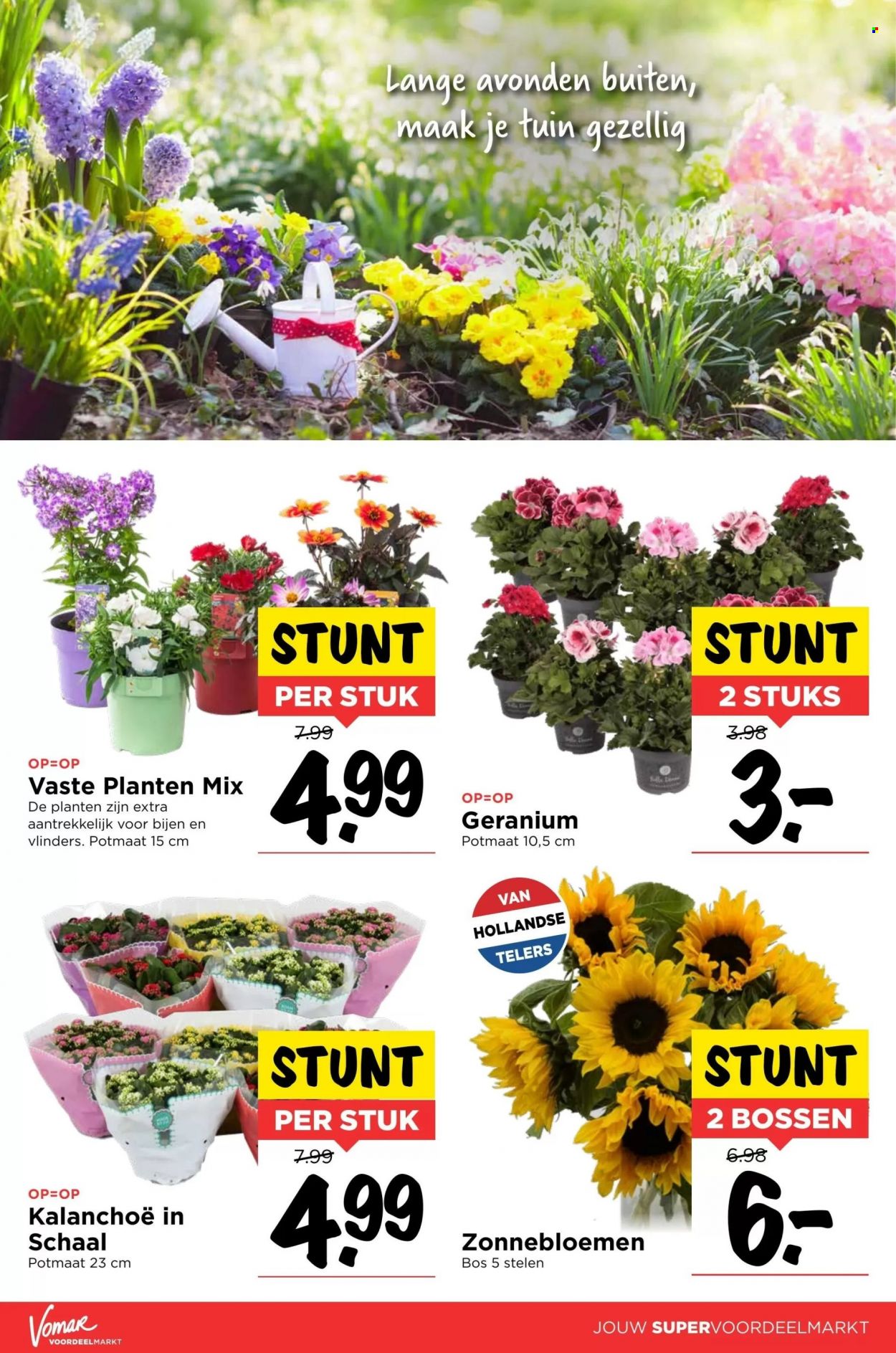 Vomar-aanbieding - 30-6-2022 - 2-7-2022. Pagina 16