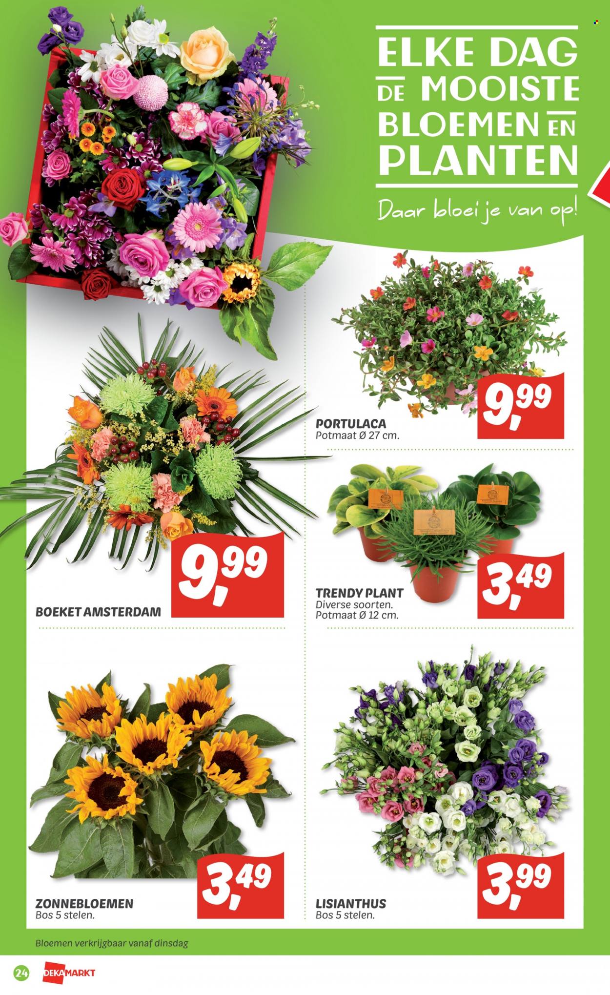 DekaMarkt-aanbieding - 3-7-2022 - 9-7-2022. Pagina 24
