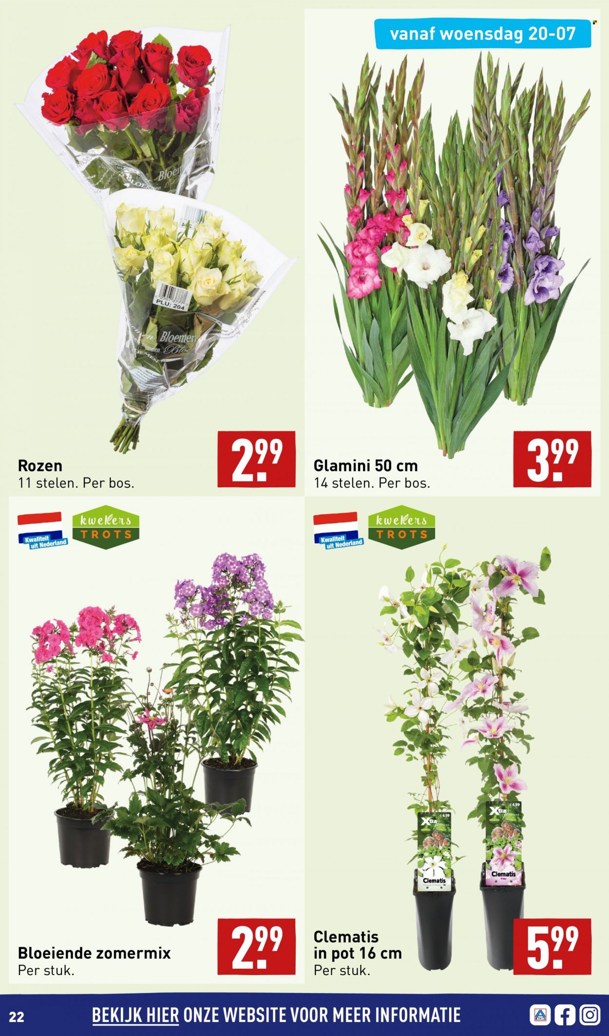 Aldi-aanbieding - 18-7-2022 - 24-7-2022. Pagina 22