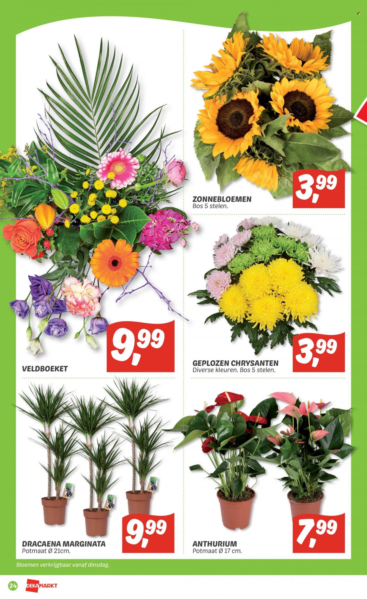 DekaMarkt-aanbieding - 17-7-2022 - 23-7-2022. Pagina 24