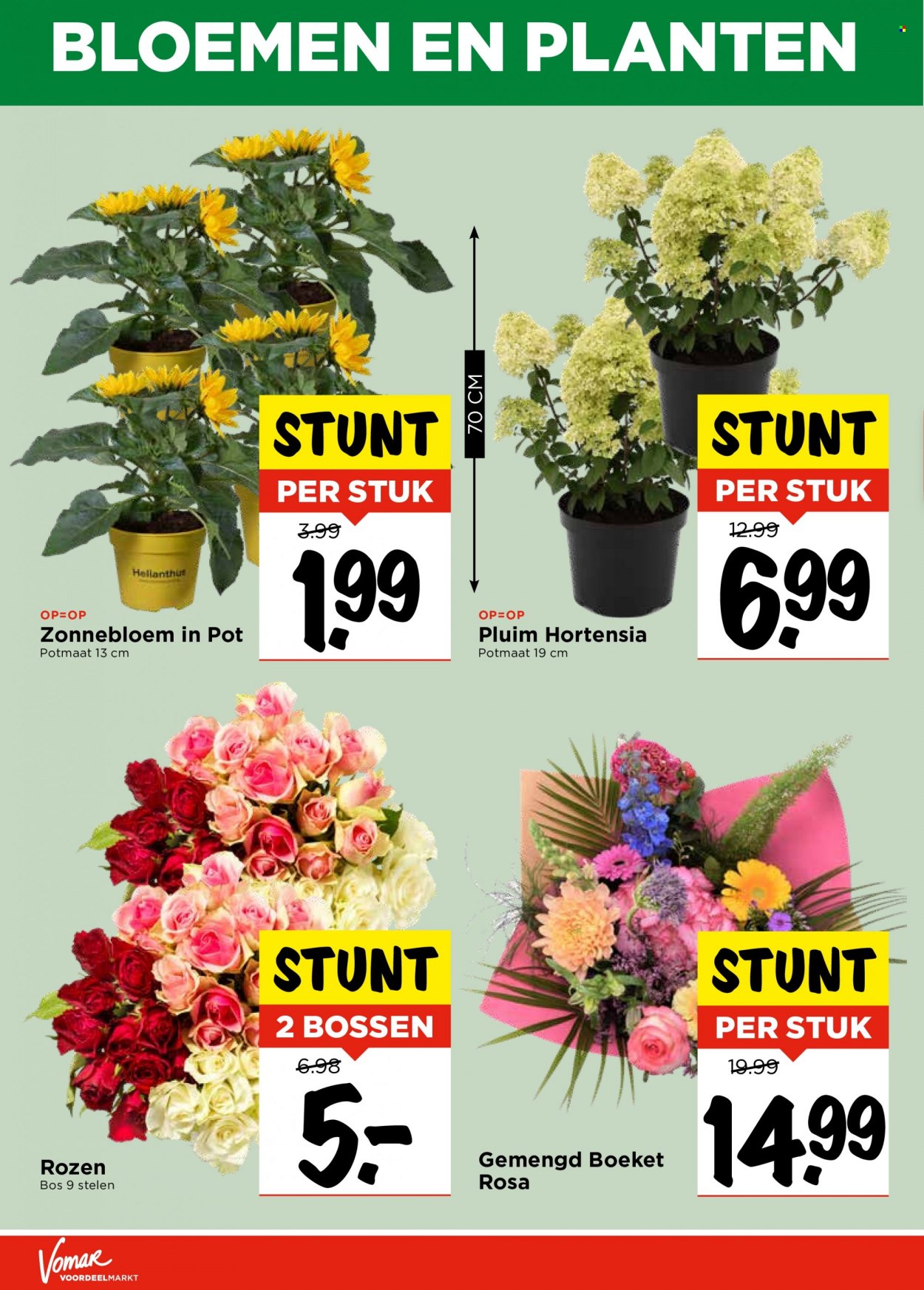 Vomar-aanbieding - 17-7-2022 - 23-7-2022. Pagina 26