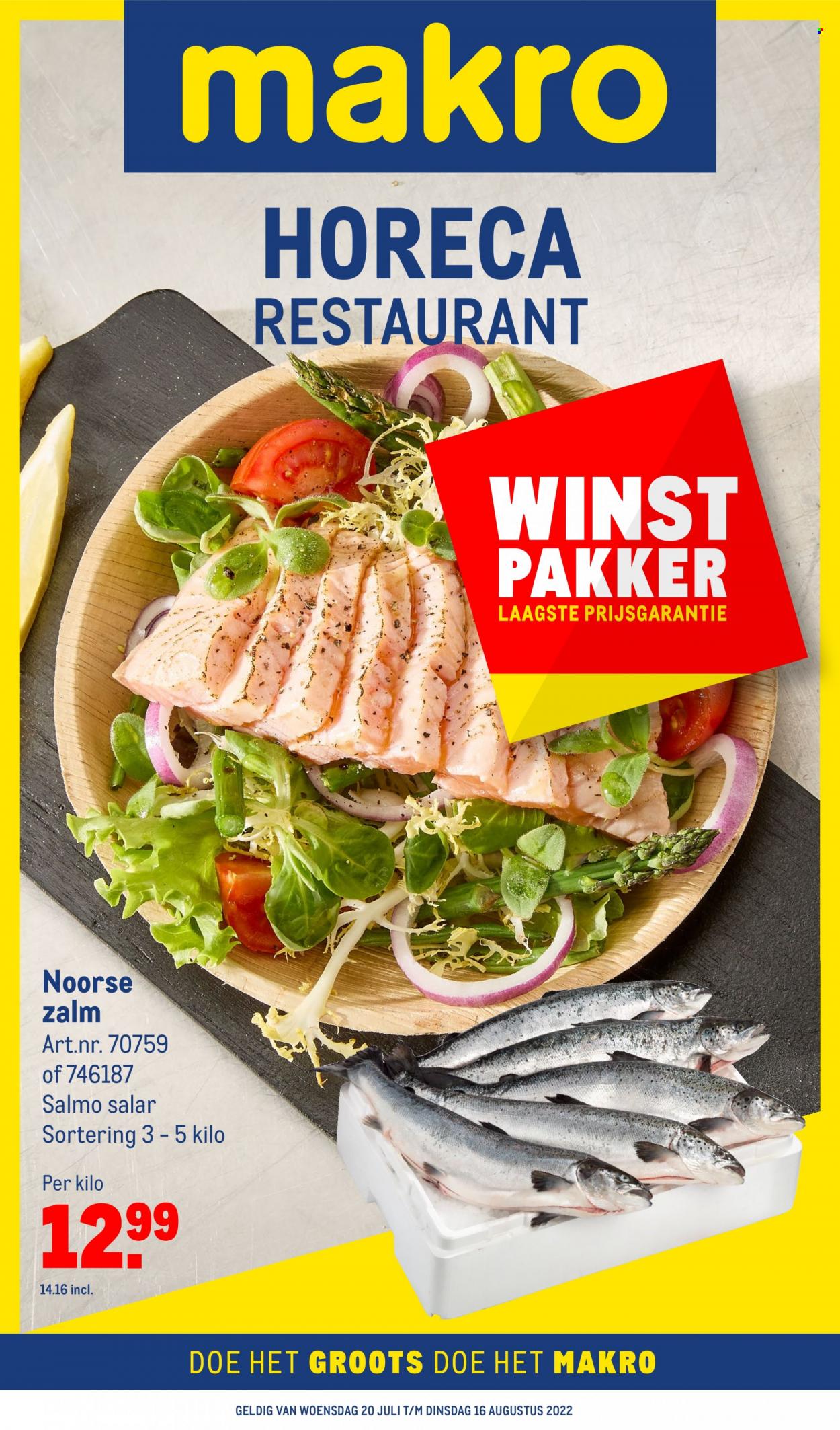 Makro-aanbieding - 20-7-2022 - 16-8-2022. Pagina 1