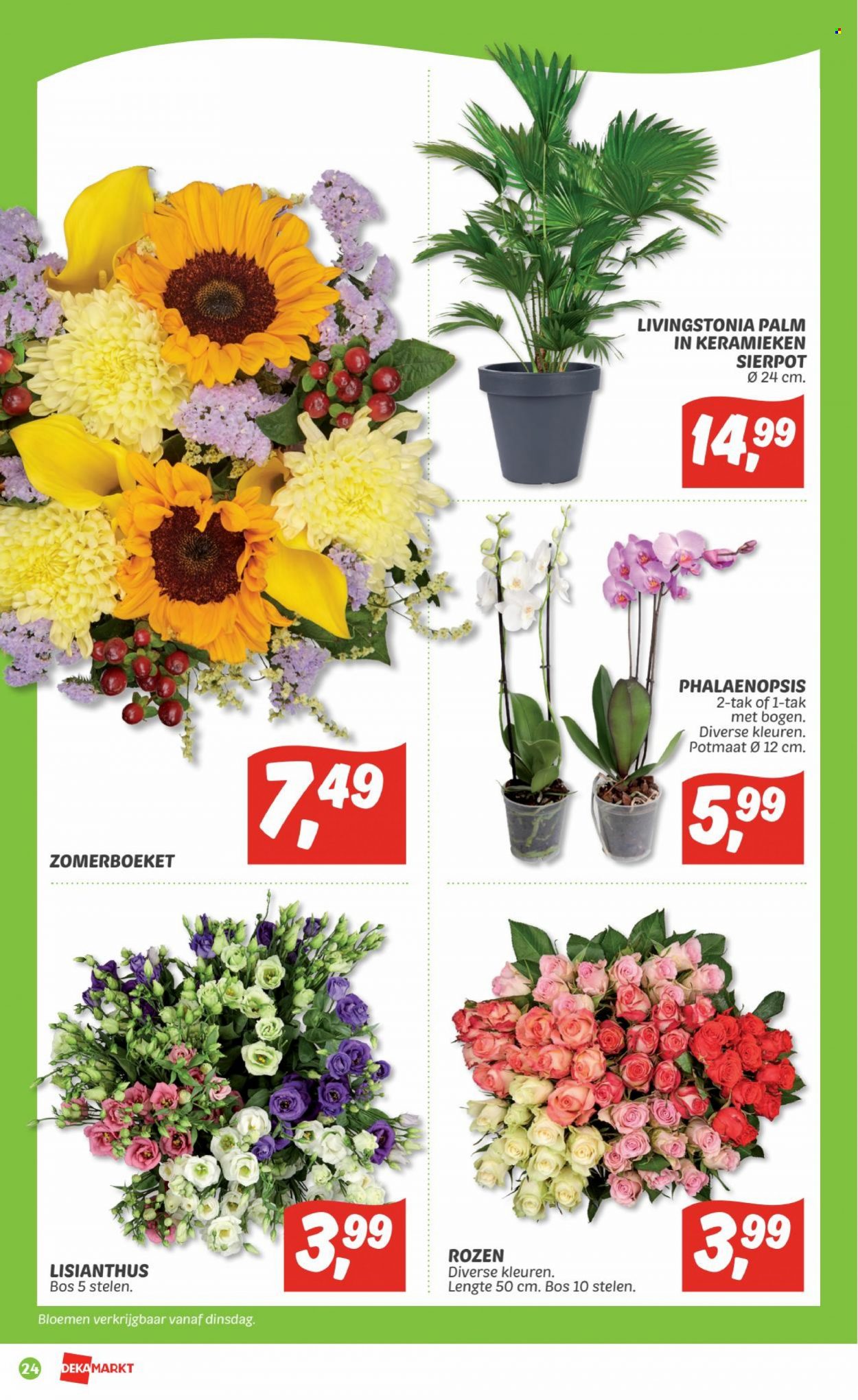 DekaMarkt-aanbieding - 24-7-2022 - 30-7-2022. Pagina 24