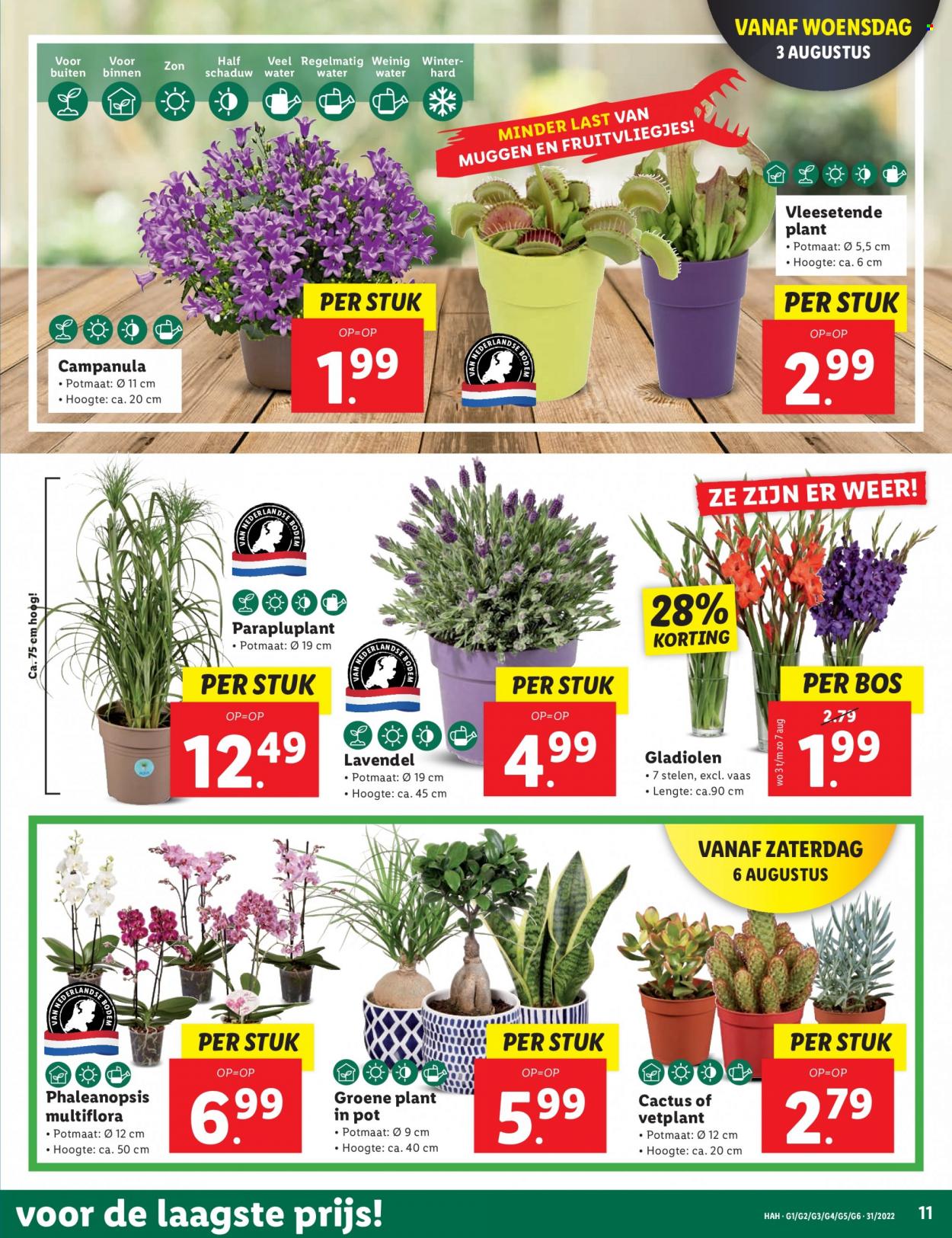 Lidl-aanbieding - 1-8-2022 - 7-8-2022. Pagina 11