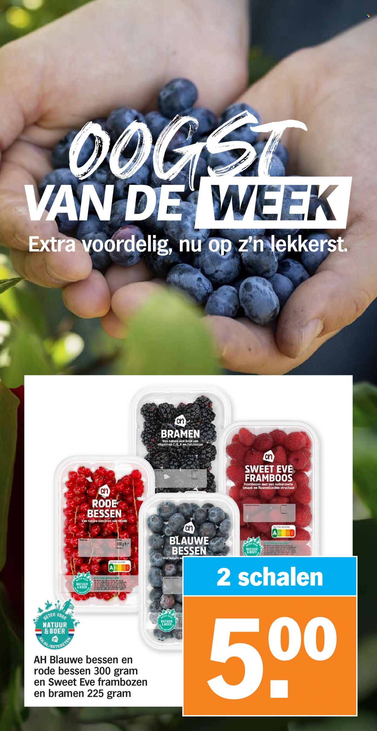 Albert Heijn-aanbieding - 15-8-2022 - 21-8-2022. Pagina 4