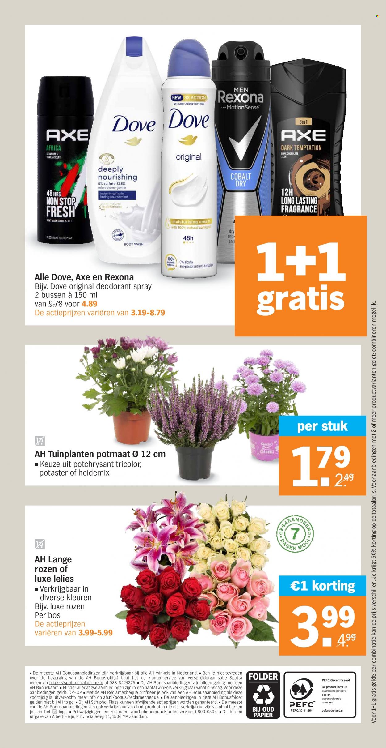 Albert Heijn-aanbieding - 15-8-2022 - 21-8-2022. Pagina 31