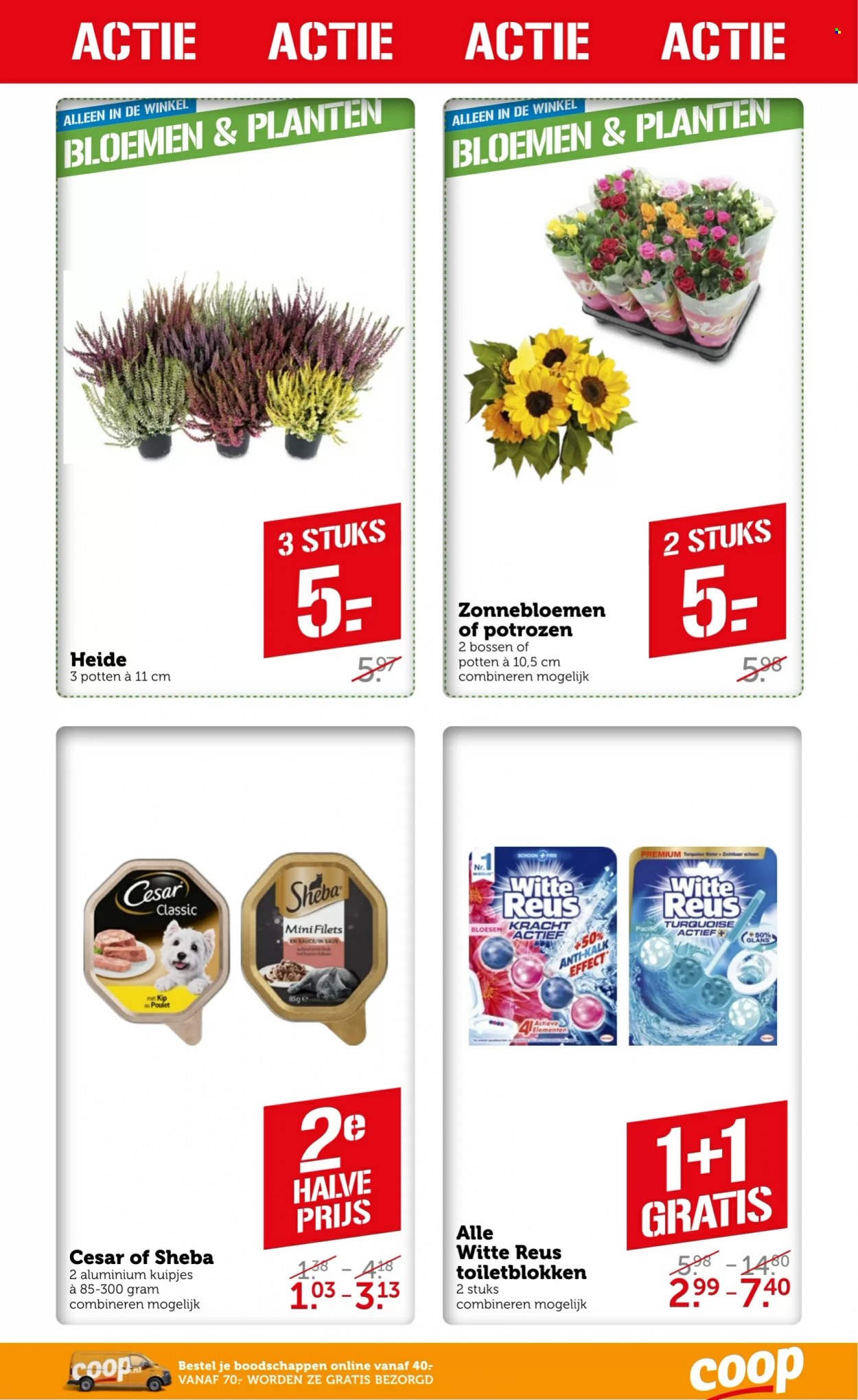 Coop-aanbieding - 15-8-2022 - 21-8-2022. Pagina 25