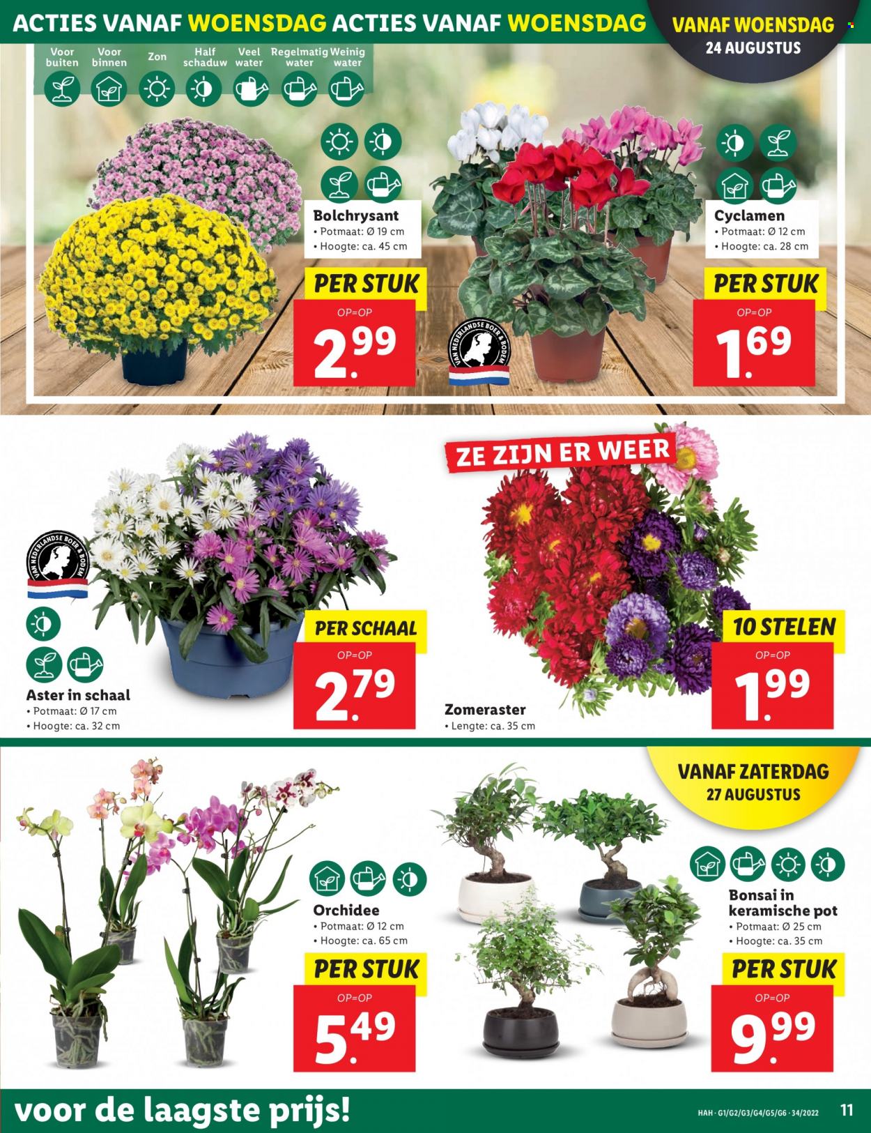 Lidl-aanbieding - 22-8-2022 - 28-8-2022. Pagina 11