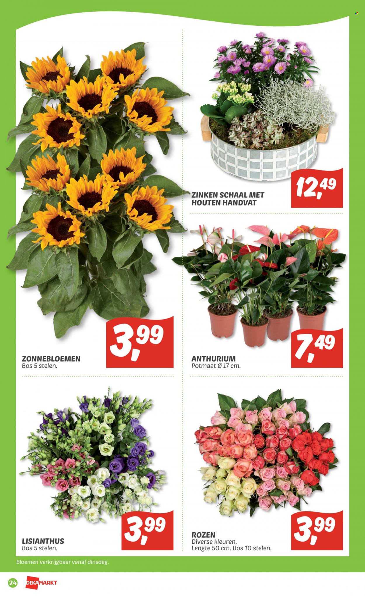 DekaMarkt-aanbieding - 21-8-2022 - 27-8-2022. Pagina 24