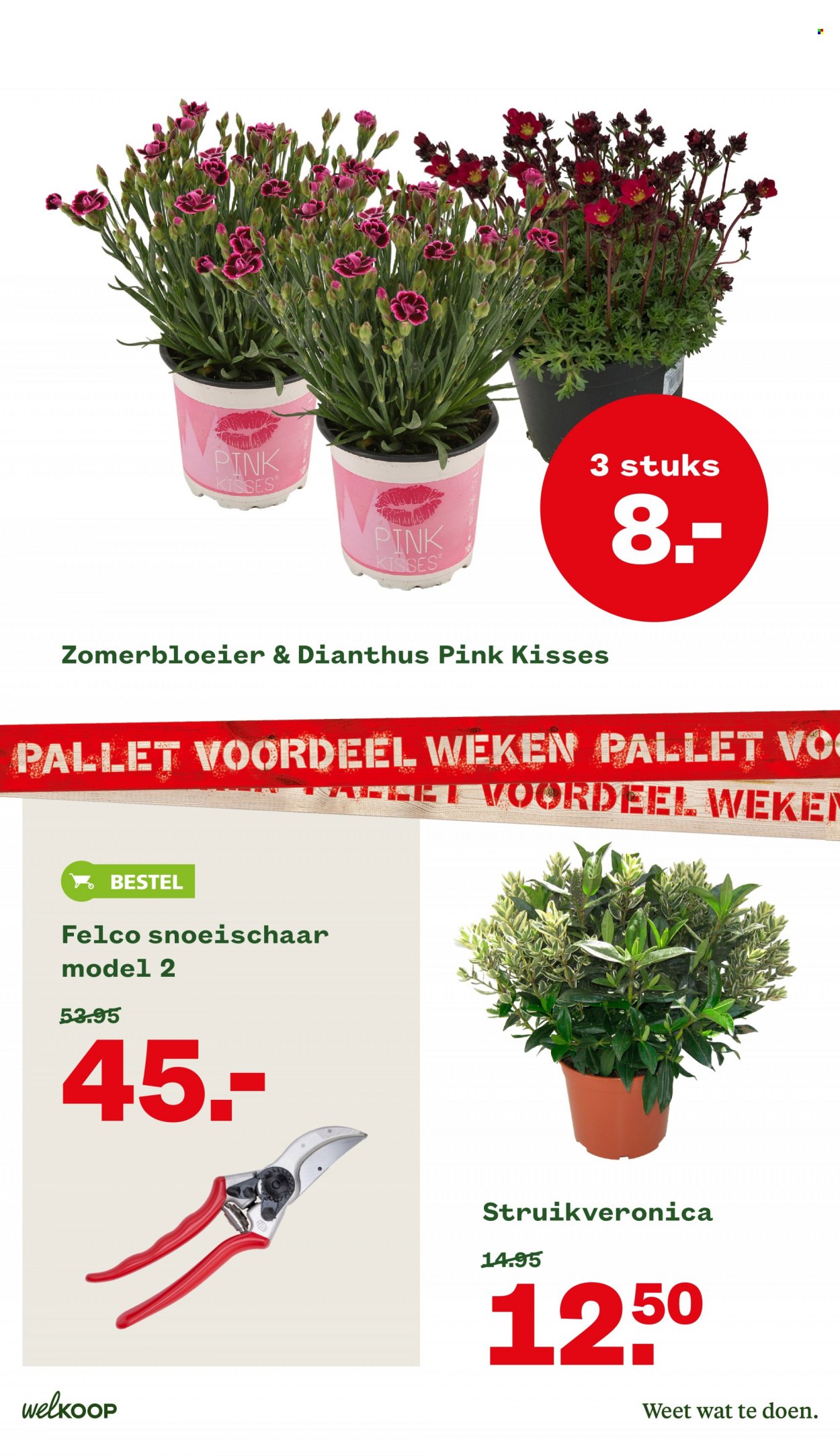 Welkoop-aanbieding - 22-8-2022 - 4-9-2022. Pagina 17