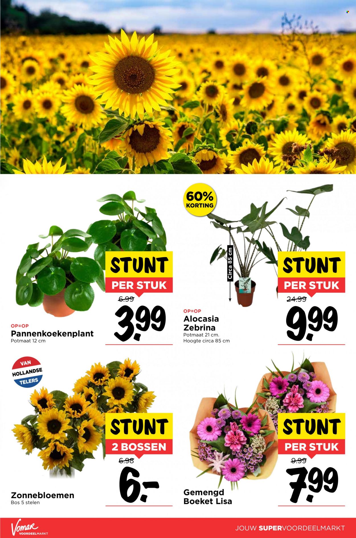 Vomar-aanbieding - 25-8-2022 - 27-8-2022. Pagina 13