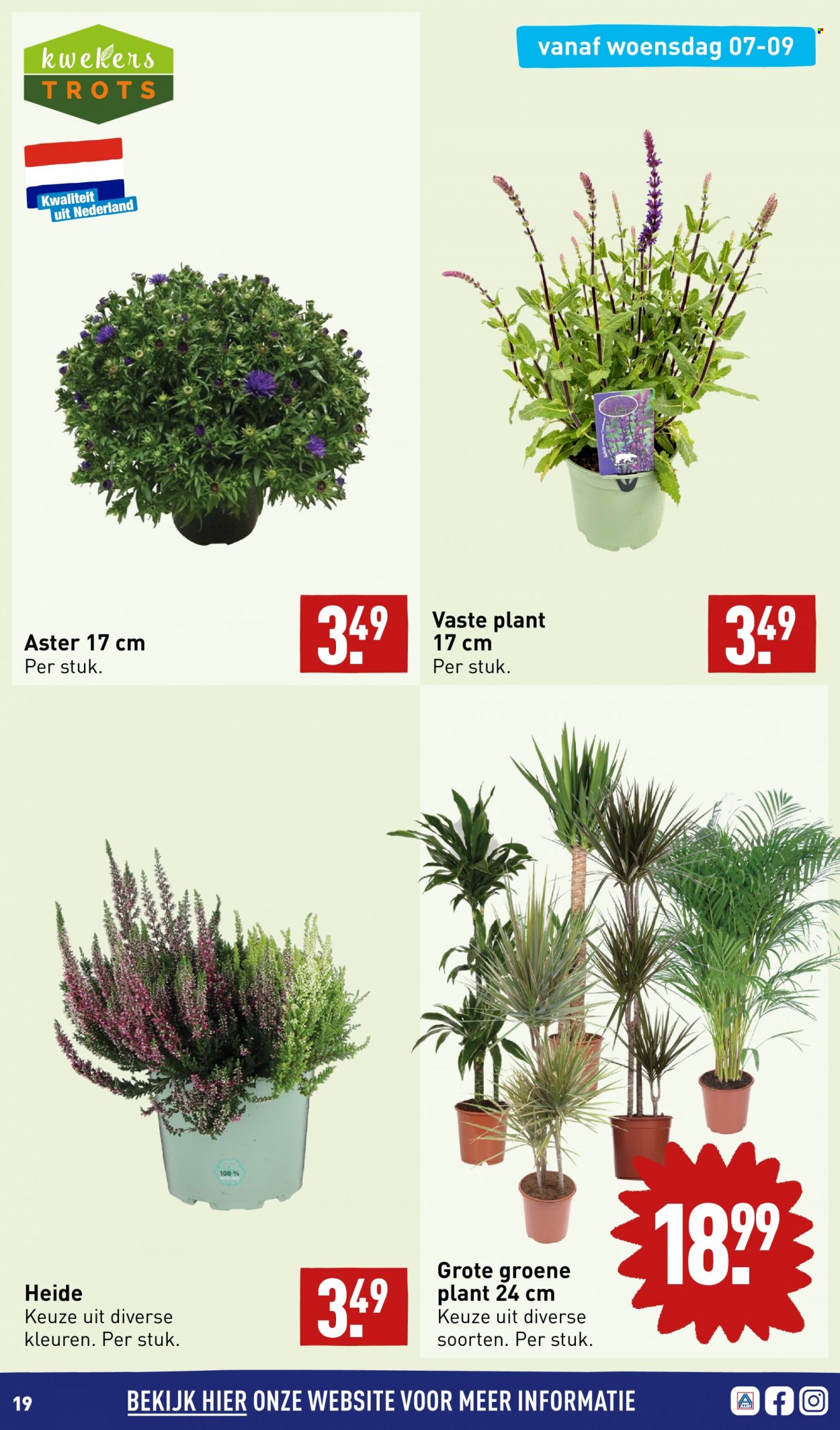 Aldi-aanbieding - 5-9-2022 - 11-9-2022. Pagina 19