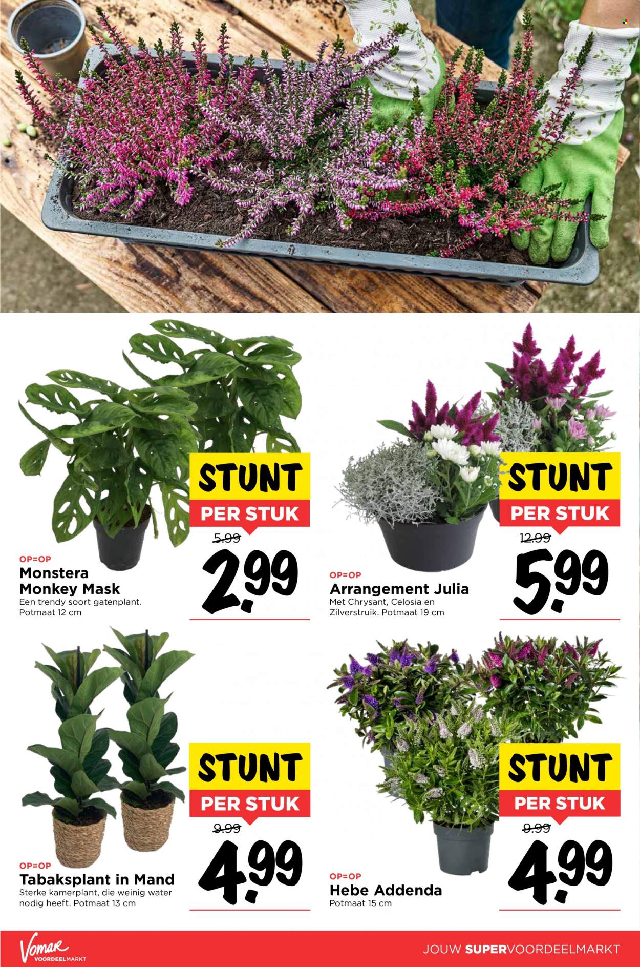 Vomar-aanbieding - 1-9-2022 - 3-9-2022. Pagina 14