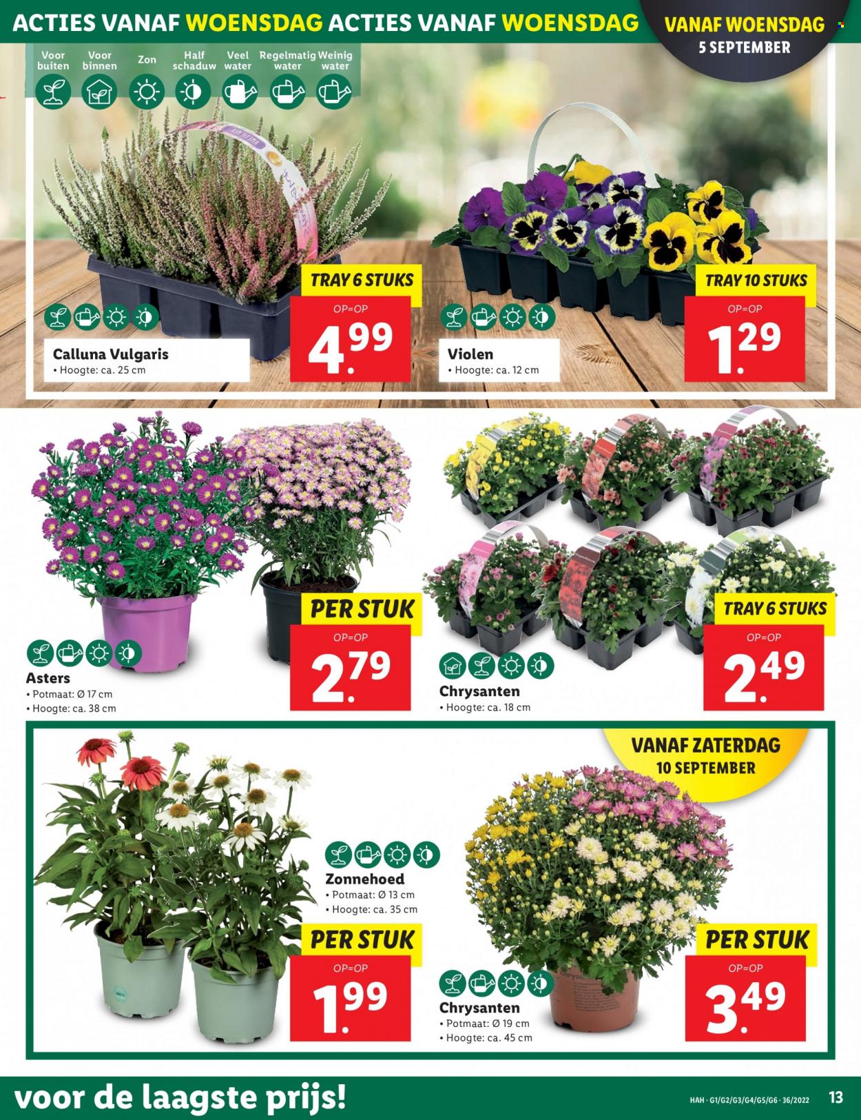 Lidl-aanbieding - 5-9-2022 - 11-9-2022. Pagina 13