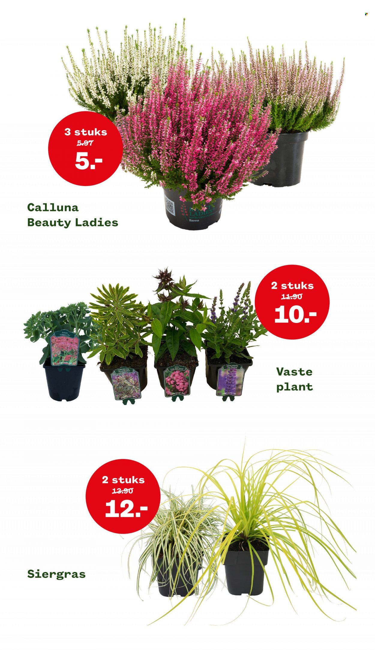 Welkoop-aanbieding - 5-9-2022 - 18-9-2022. Pagina 4
