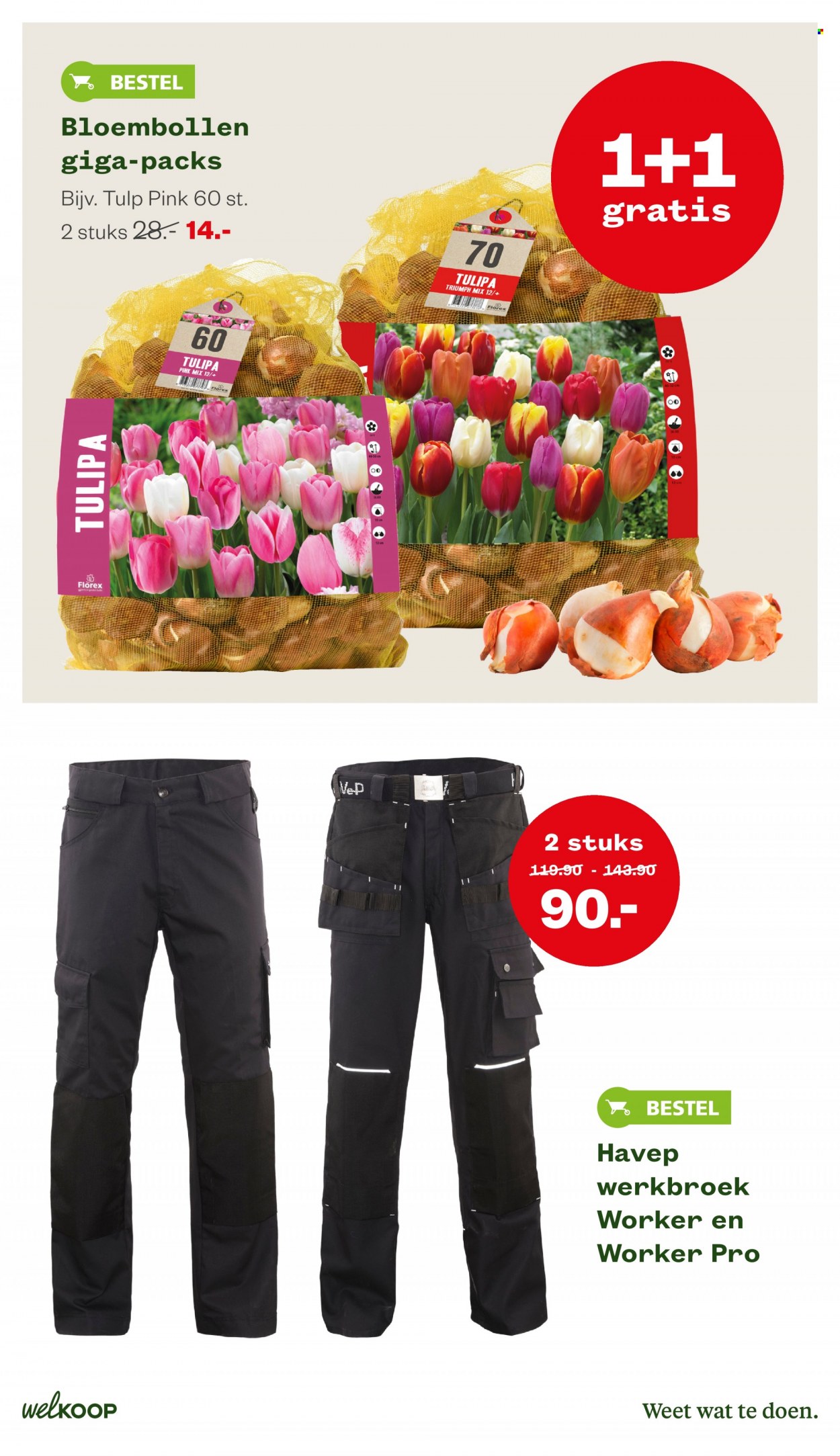 Welkoop-aanbieding - 5-9-2022 - 18-9-2022. Pagina 11