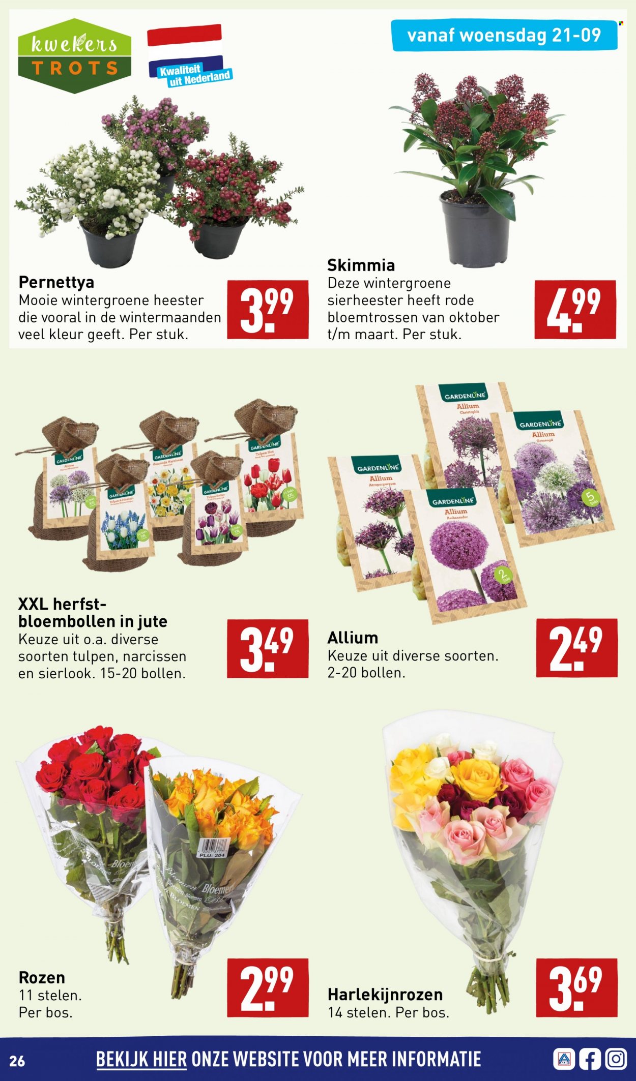 Aldi-aanbieding - 19-9-2022 - 25-9-2022. Pagina 26