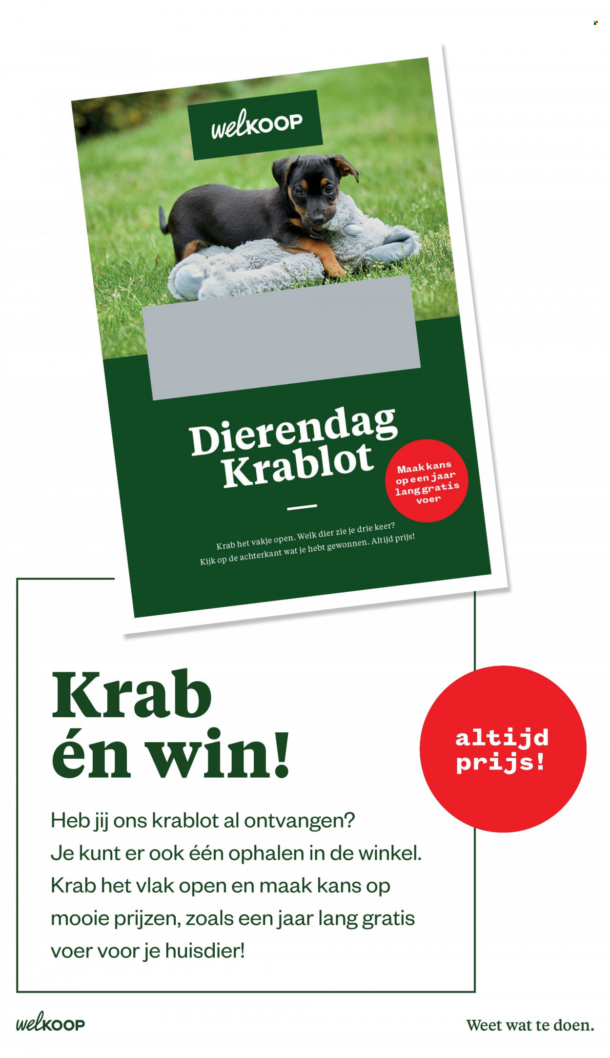 Welkoop-aanbieding - 19-9-2022 - 9-10-2022. Pagina 9
