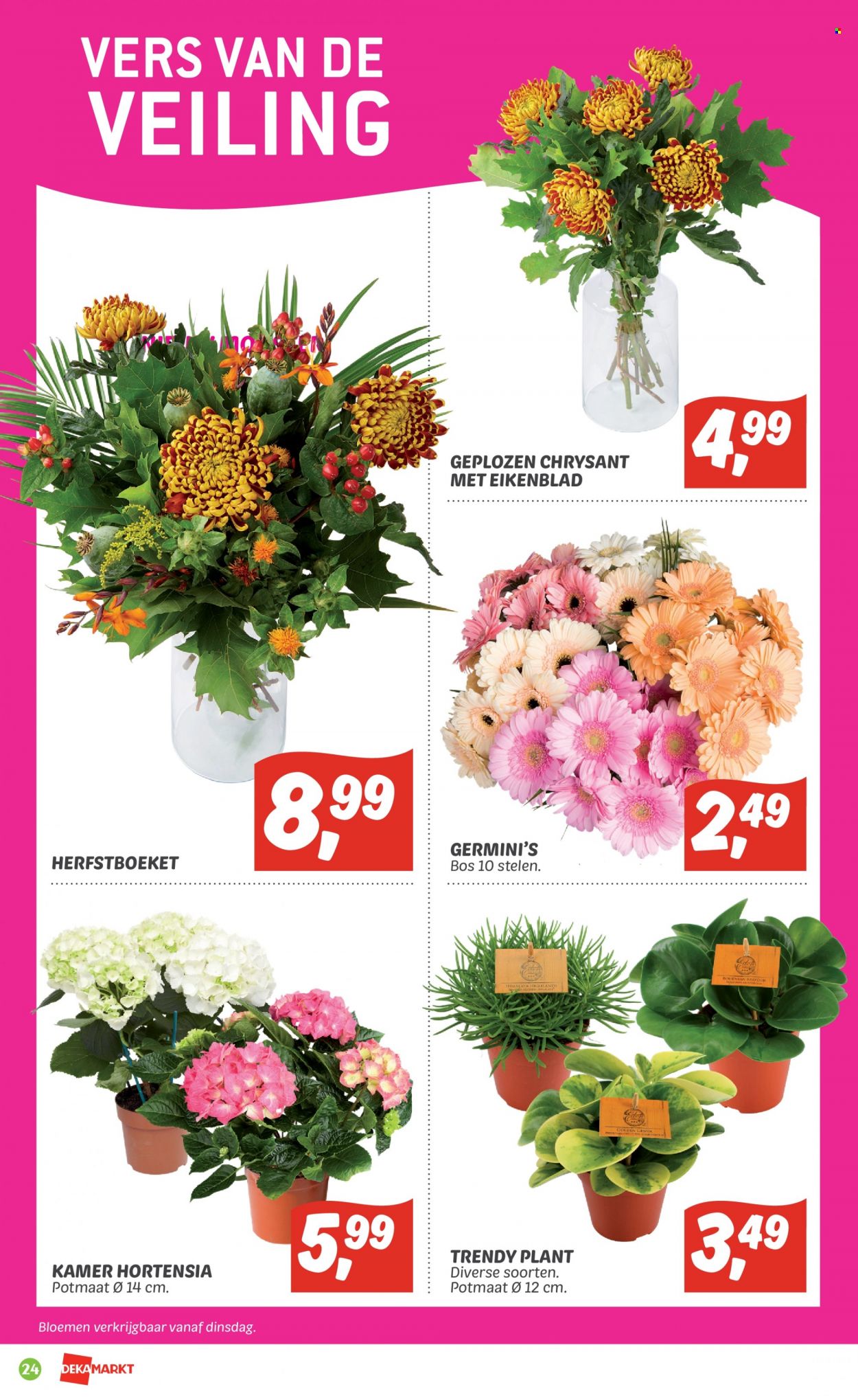 DekaMarkt-aanbieding - 25-9-2022 - 1-10-2022. Pagina 24