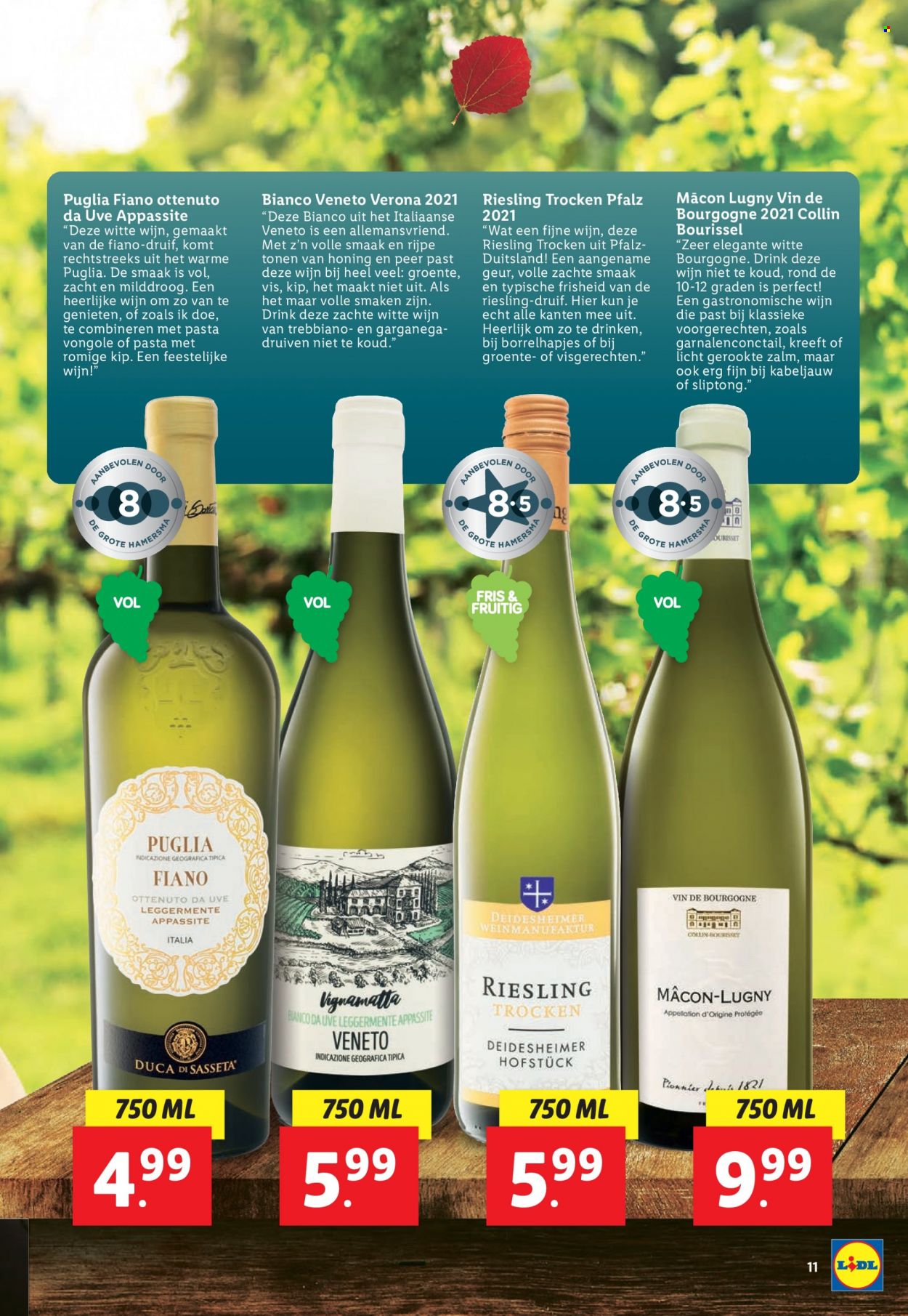 Lidl-aanbieding. Pagina 11