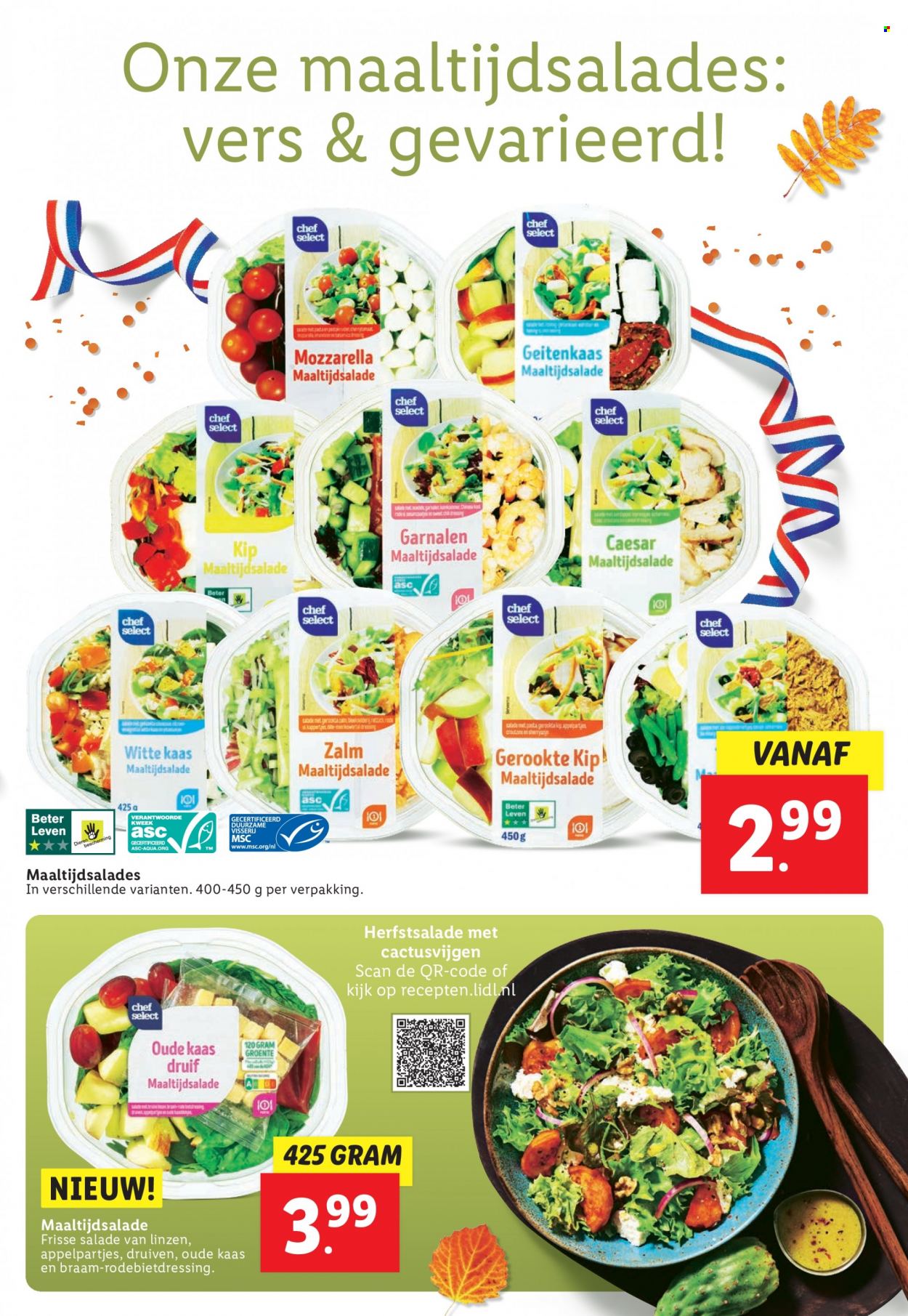Lidl-aanbieding. Pagina 31