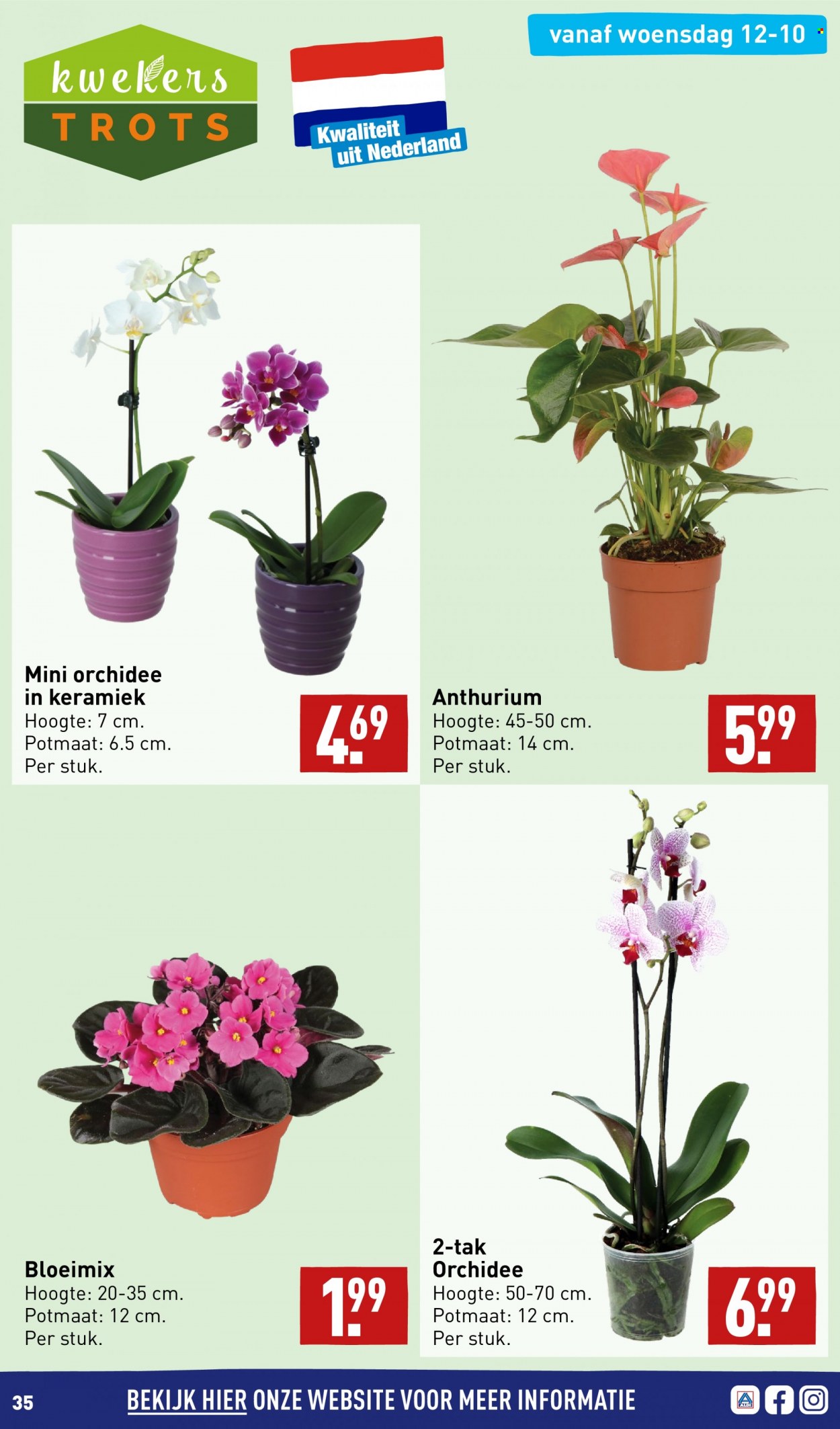Aldi-aanbieding - 10-10-2022 - 16-10-2022. Pagina 35