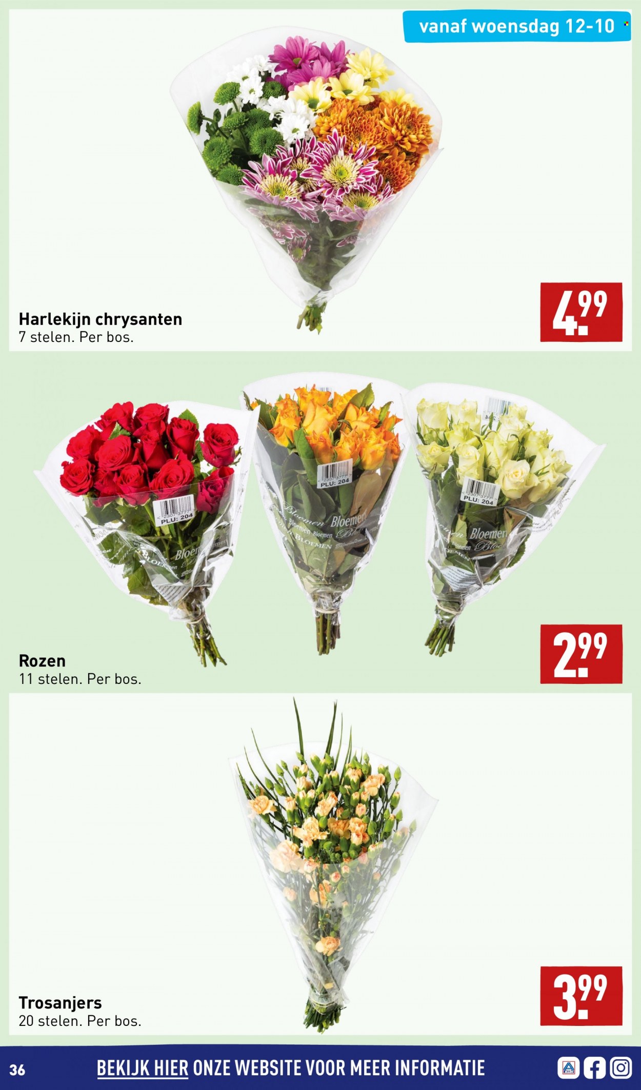 Aldi-aanbieding - 10-10-2022 - 16-10-2022. Pagina 36