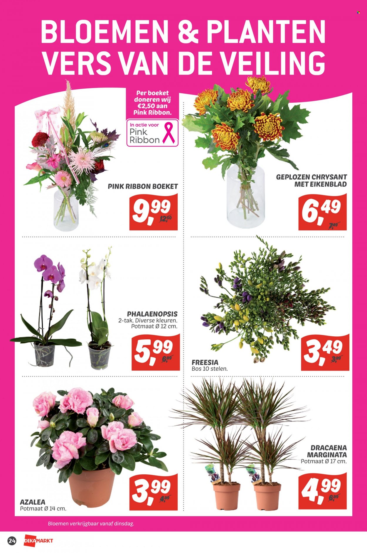 DekaMarkt-aanbieding - 9-10-2022 - 15-10-2022. Pagina 24