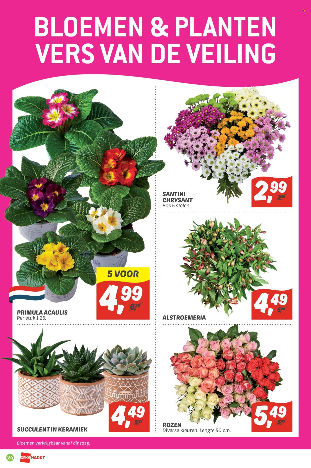 DekaMarkt-aanbieding - 16-10-2022 - 22-10-2022. Pagina 24