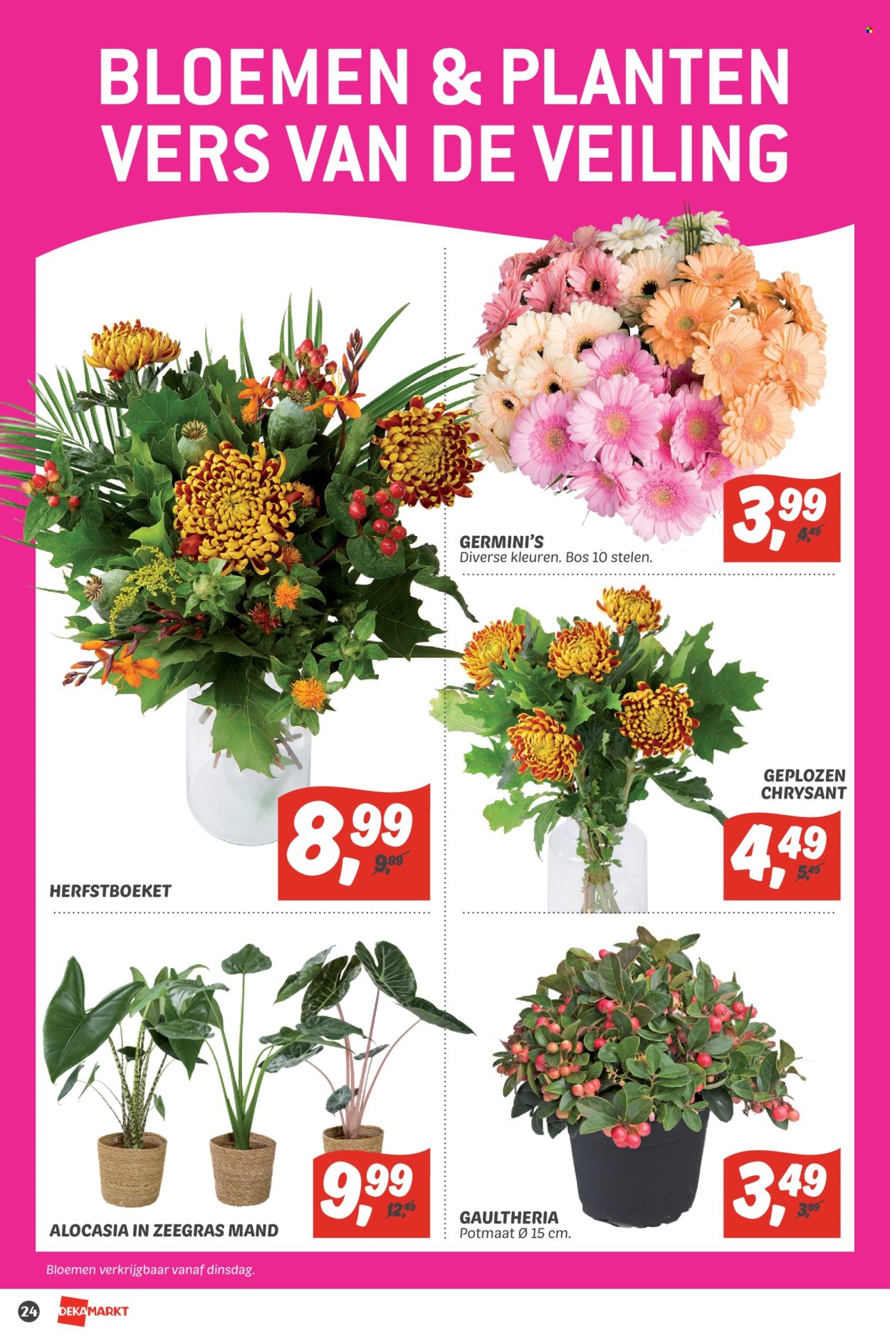DekaMarkt-aanbieding - 23-10-2022 - 29-10-2022. Pagina 24