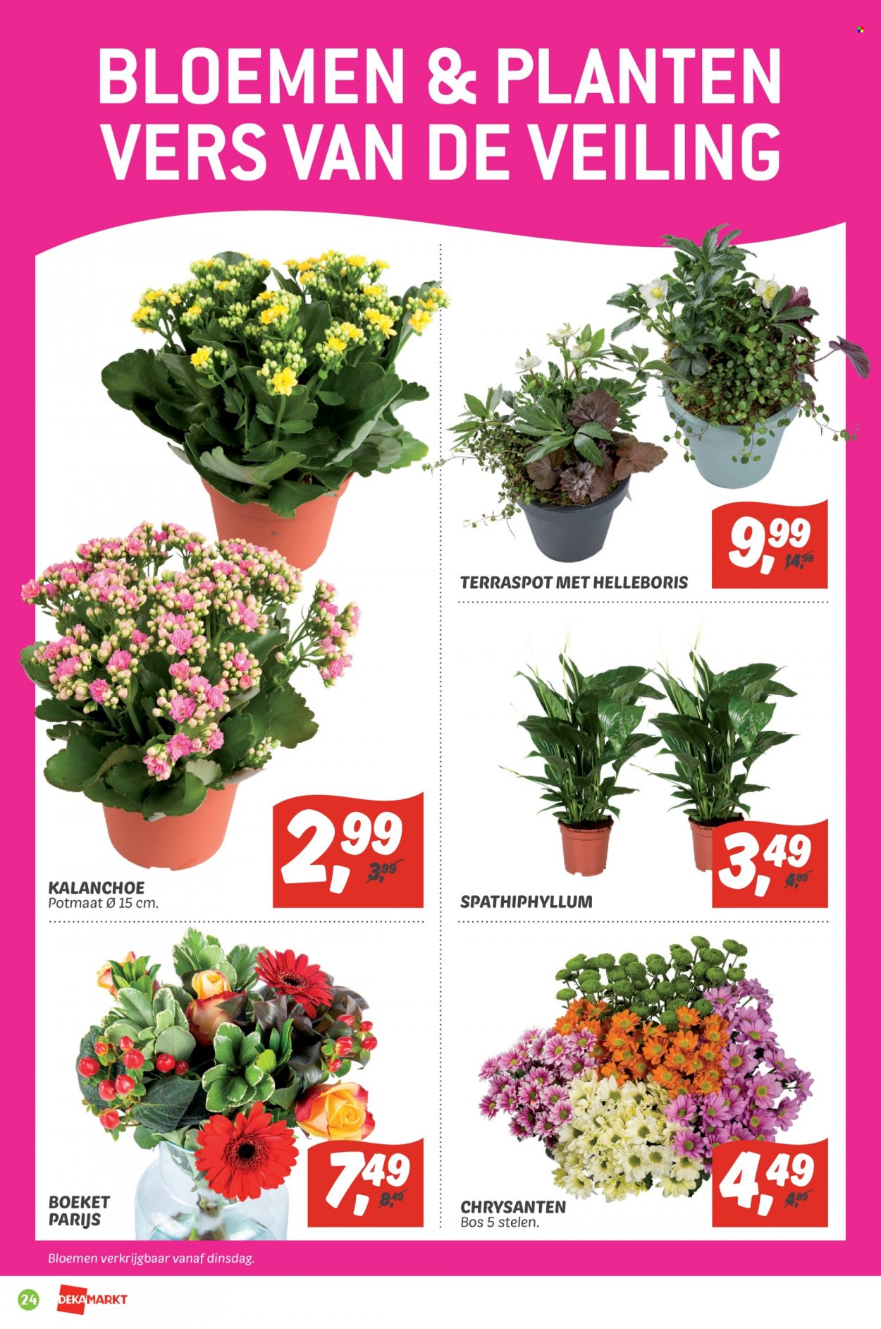 DekaMarkt-aanbieding - 30-10-2022 - 5-11-2022. Pagina 24