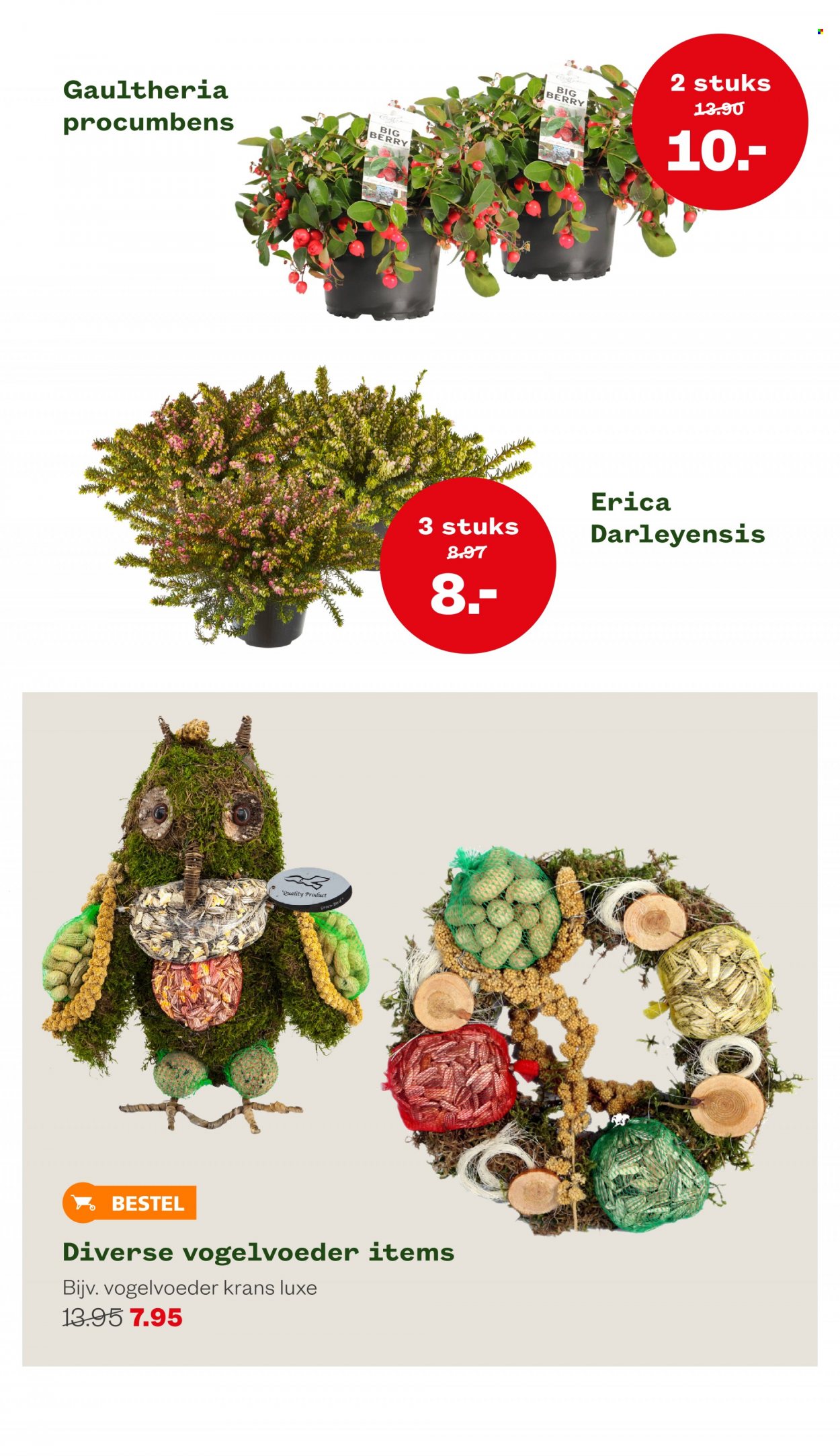 Welkoop-aanbieding - 31-10-2022 - 13-11-2022. Pagina 14