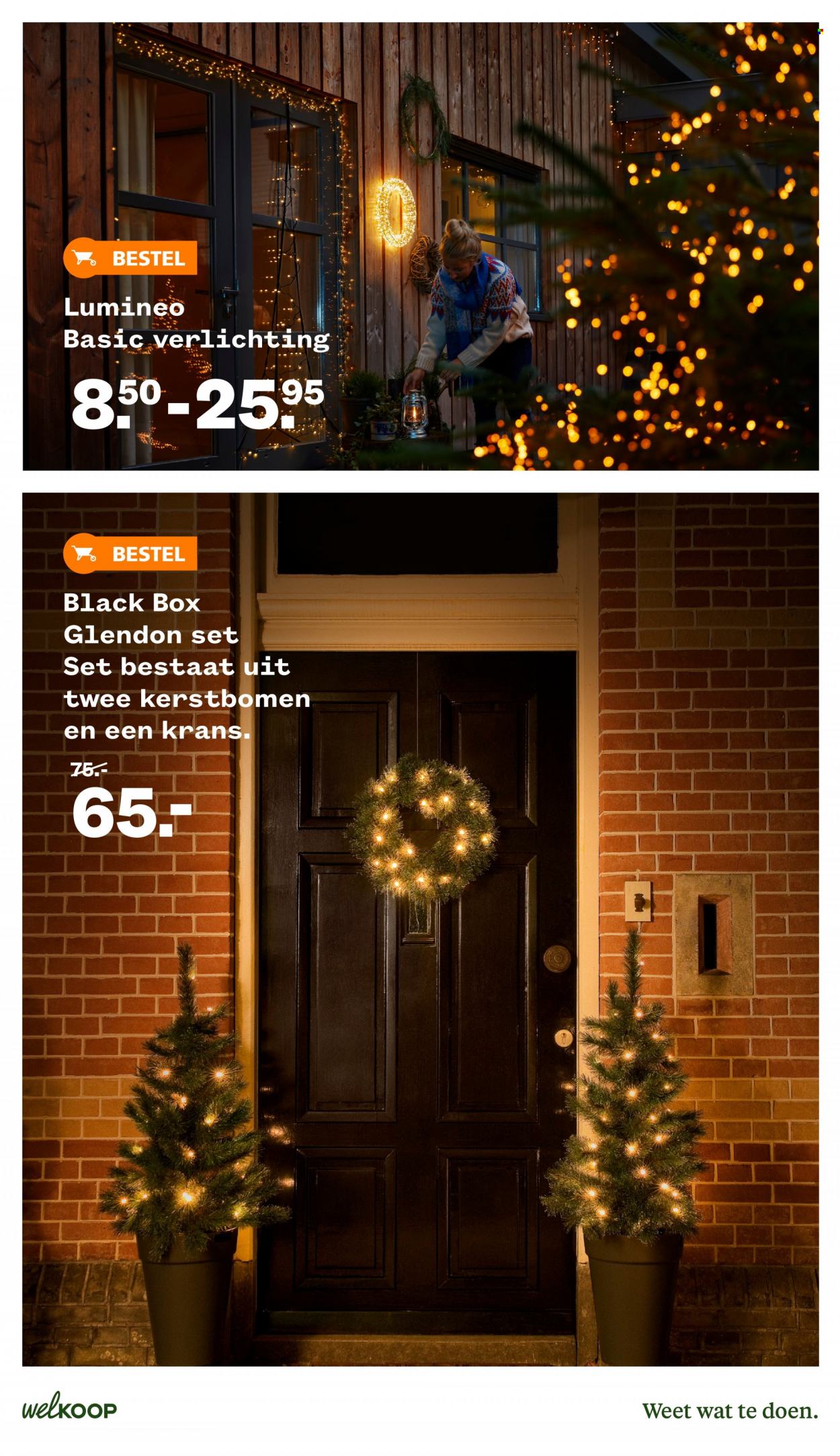 Welkoop-aanbieding - 31-10-2022 - 13-11-2022. Pagina 17