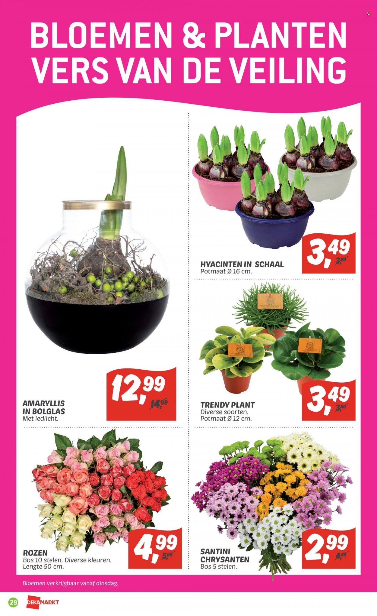 DekaMarkt-aanbieding - 6-11-2022 - 12-11-2022. Pagina 28