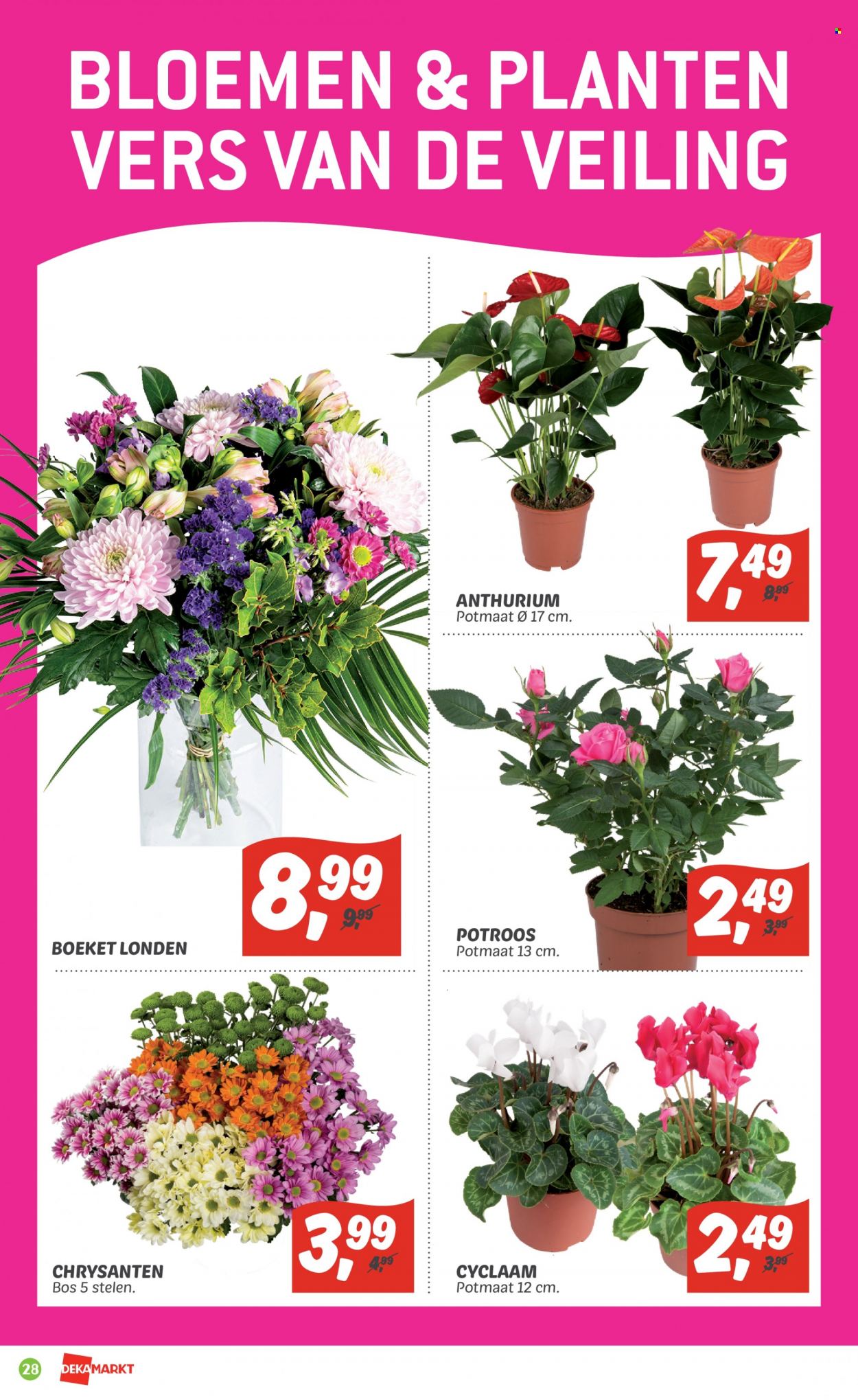 DekaMarkt-aanbieding - 13-11-2022 - 19-11-2022. Pagina 28
