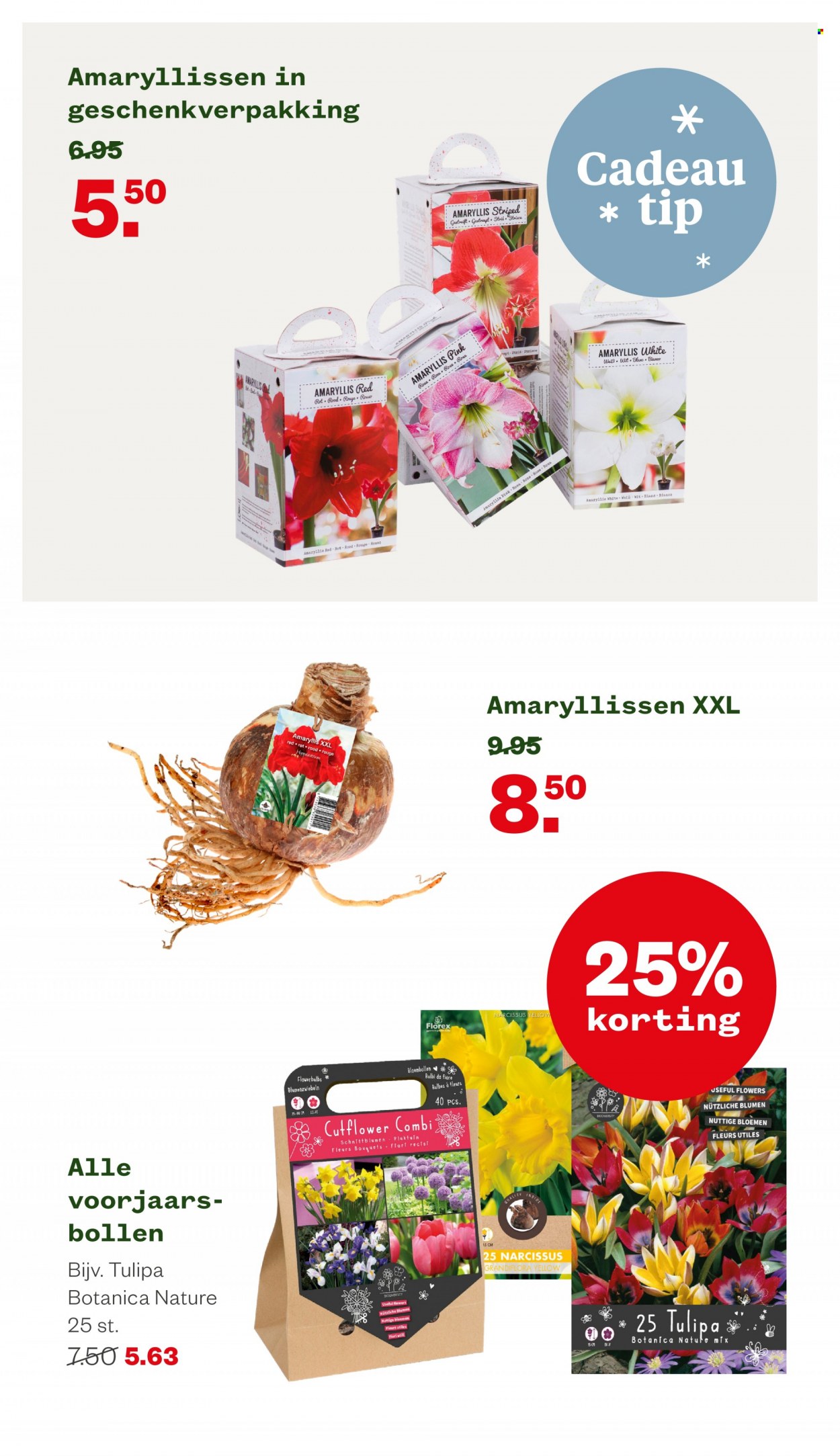 Welkoop-aanbieding - 14-11-2022 - 27-11-2022. Pagina 10