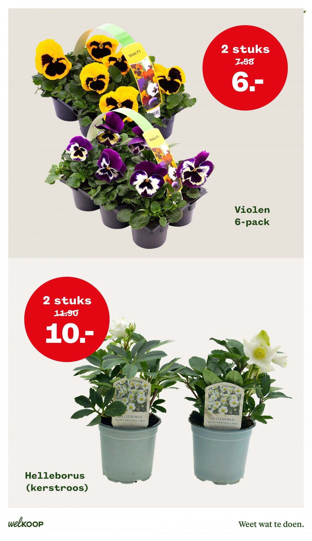 Welkoop-aanbieding - 14-11-2022 - 27-11-2022. Pagina 11