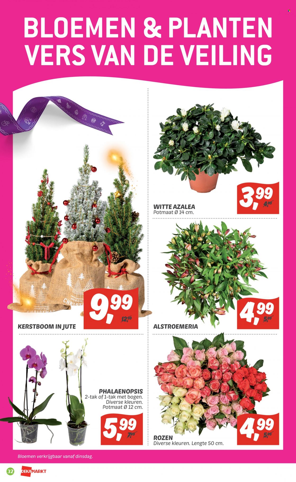 thumbnail - DekaMarkt-aanbieding - 20-11-2022 - 26-11-2022 -  producten in de aanbieding - kerstboom. Pagina 32.