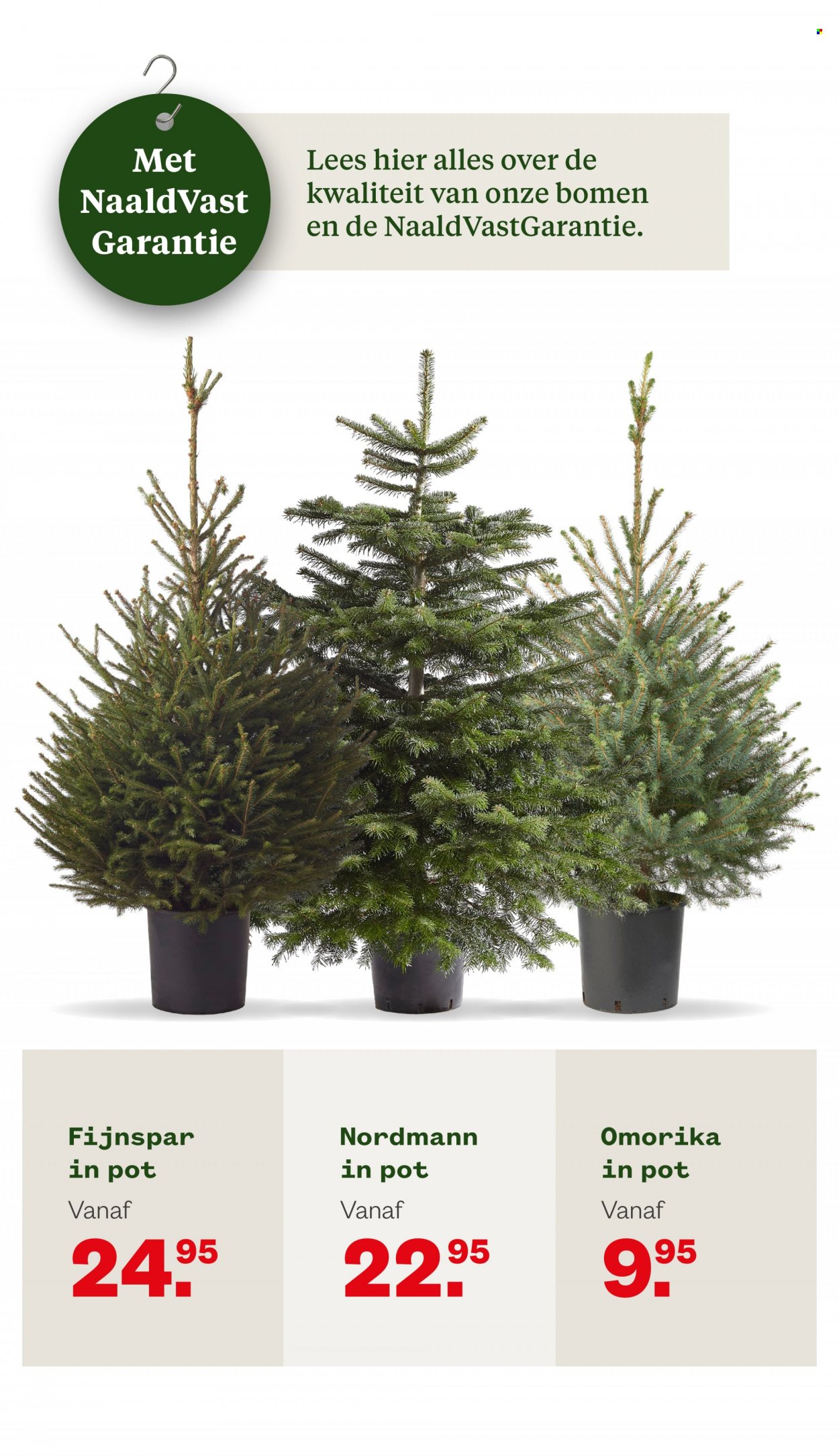 Welkoop-aanbieding - 28-11-2022 - 11-12-2022. Pagina 2