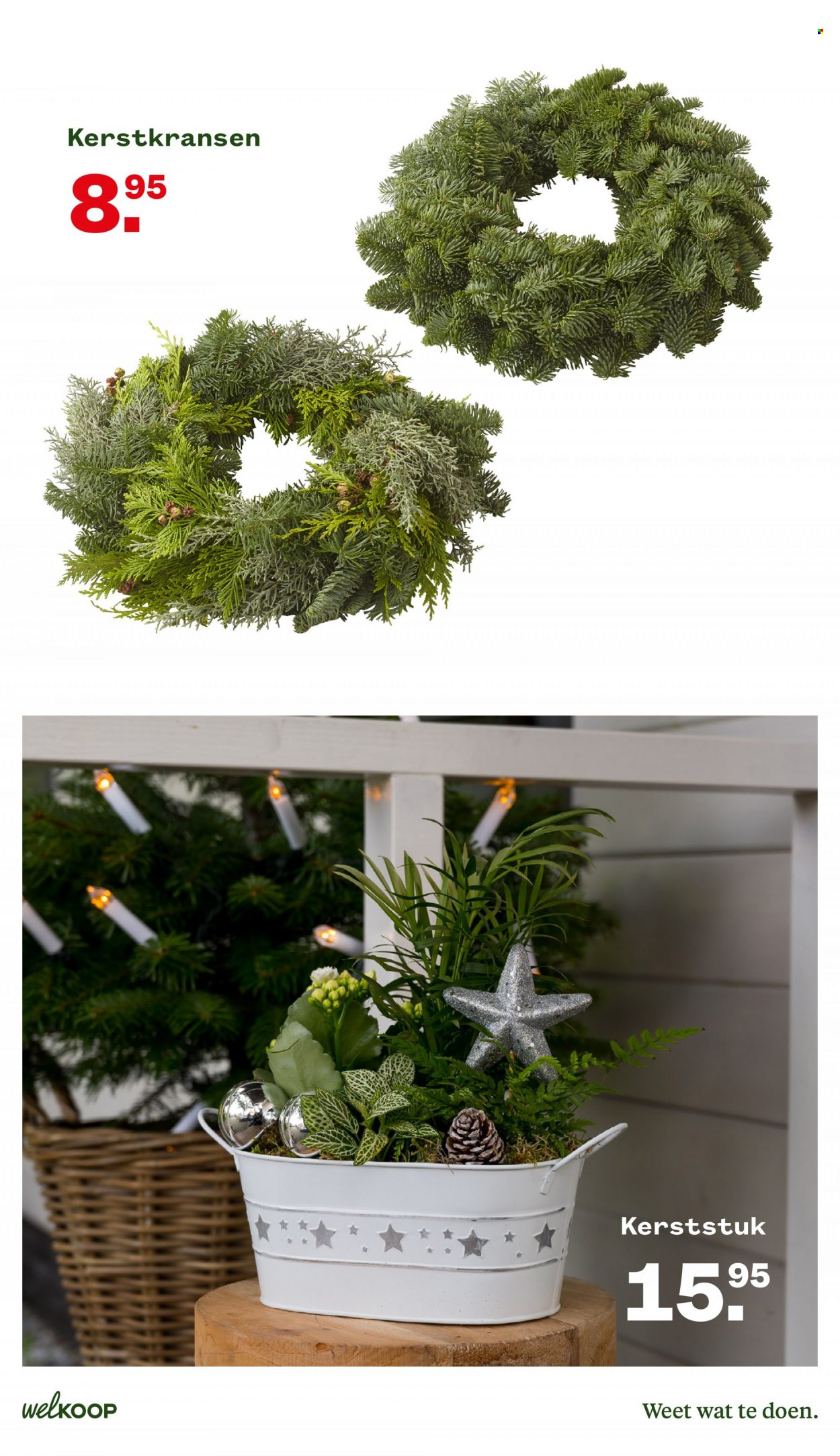 Welkoop-aanbieding - 28-11-2022 - 11-12-2022. Pagina 7